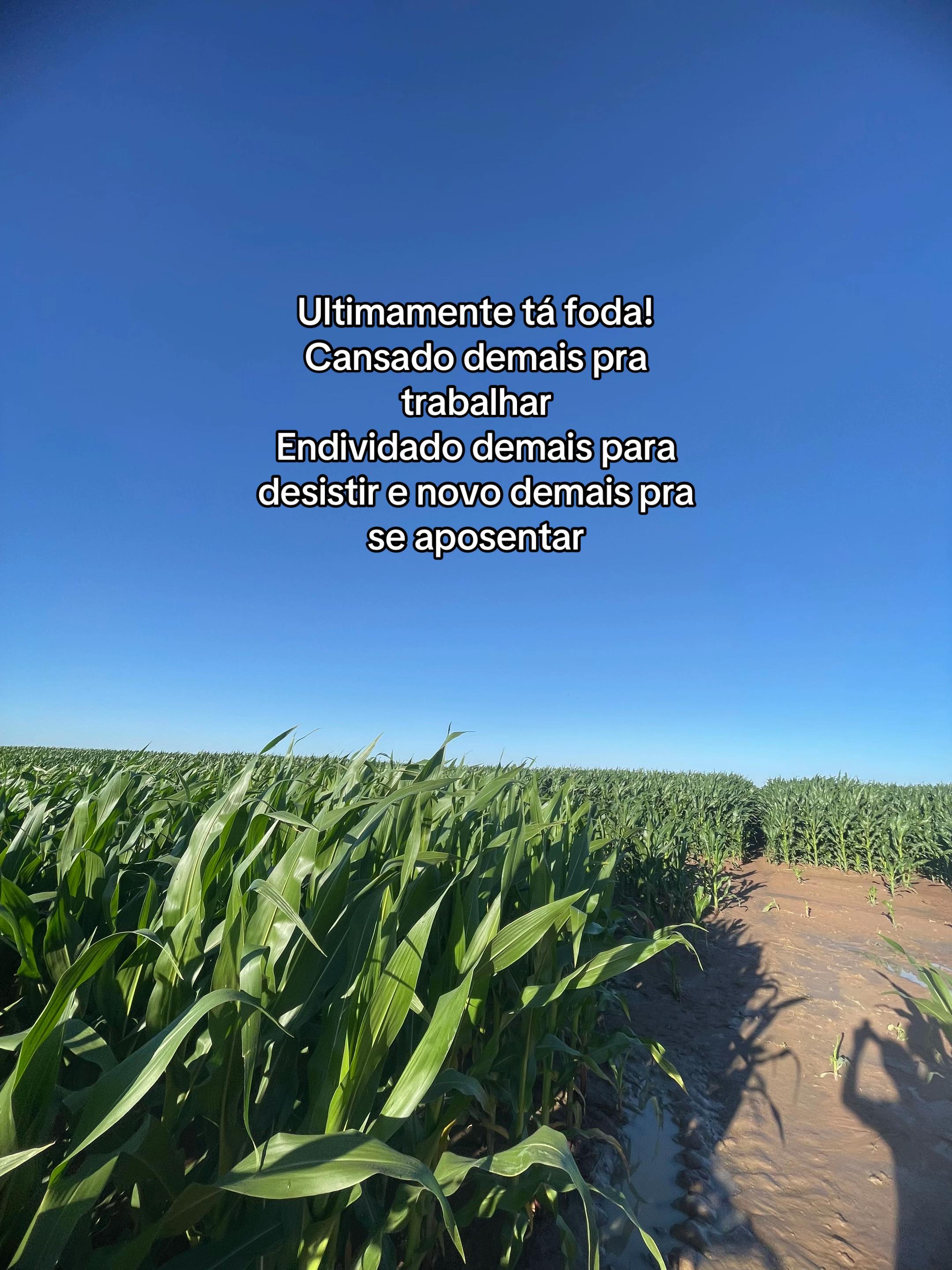 @Guga da Maia