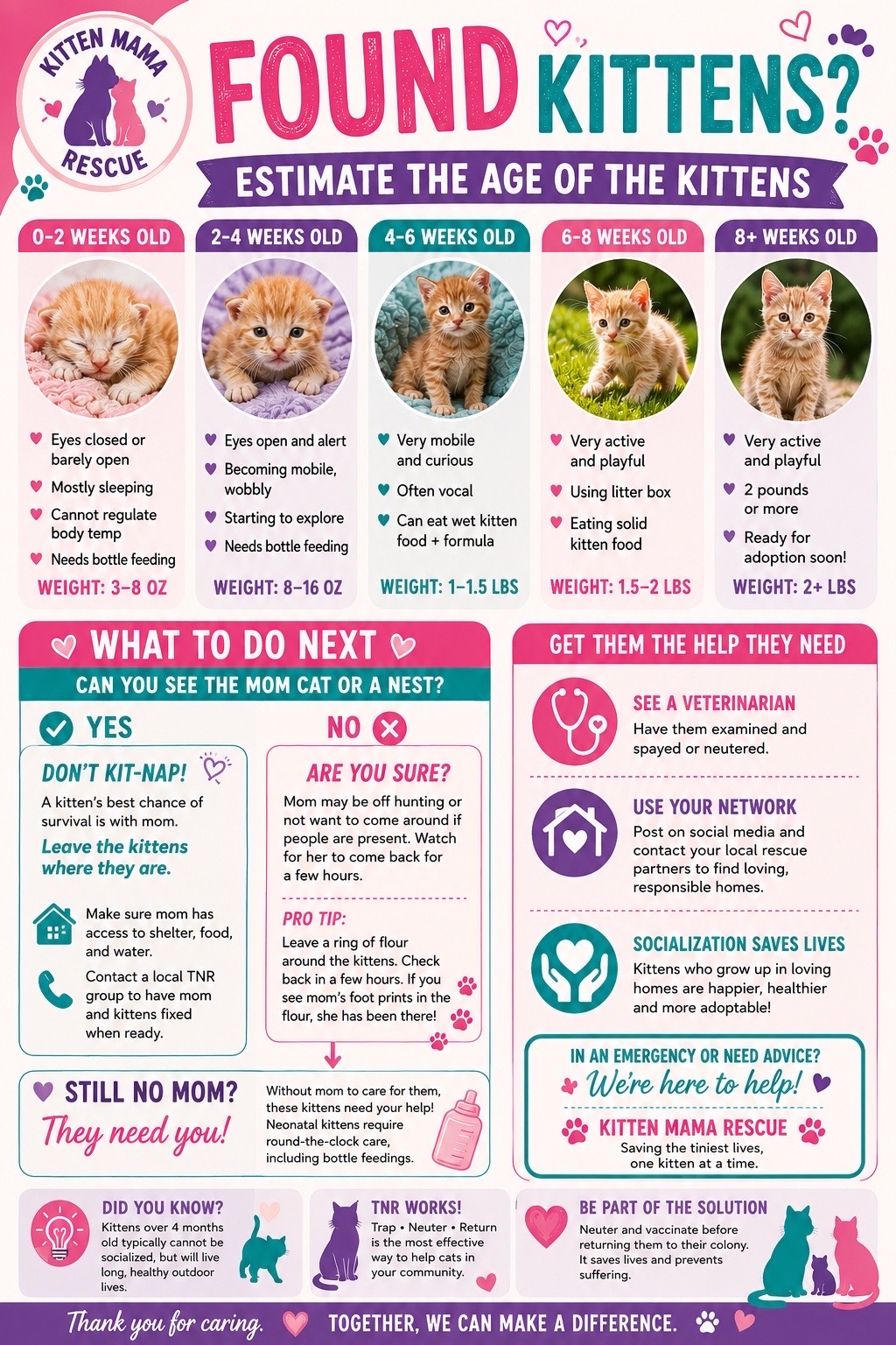 @Kitten.mama