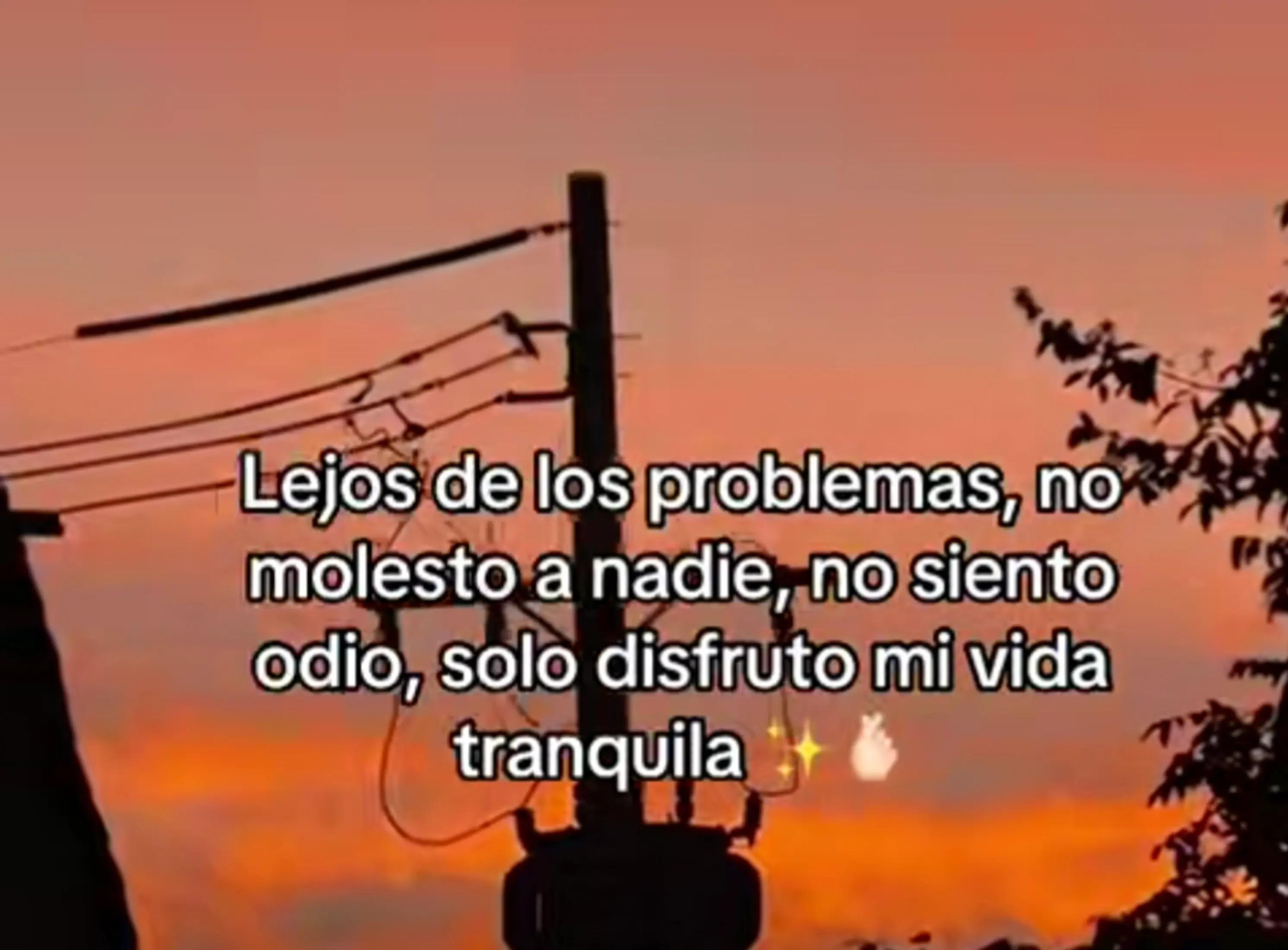 @alileiva ✨🌺🫀🧠🥂