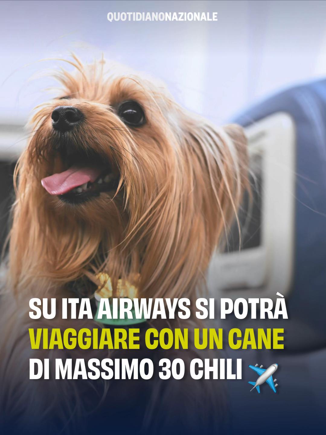 @Quotidiano Nazionale