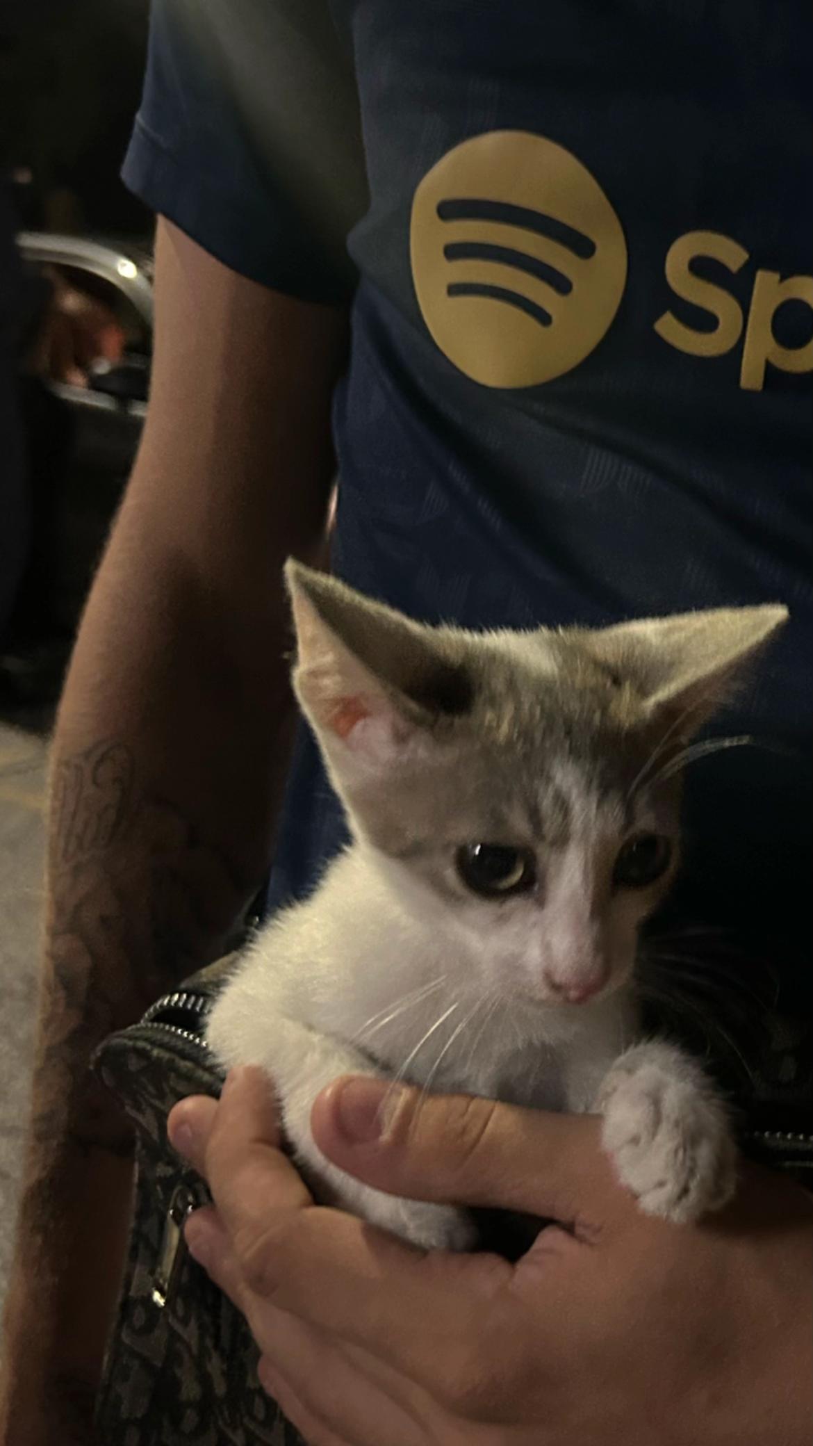 @ๆ๐