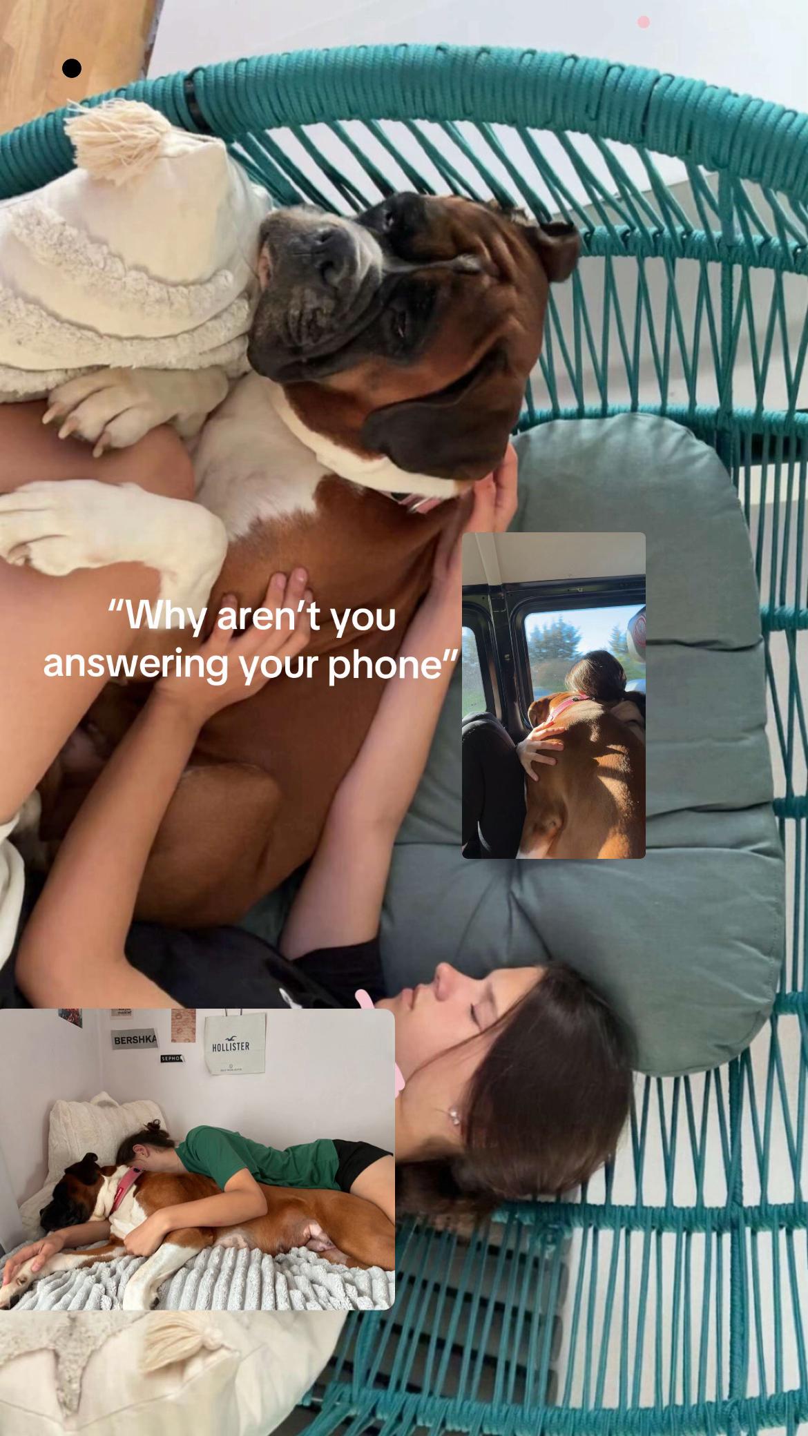 @Spamm