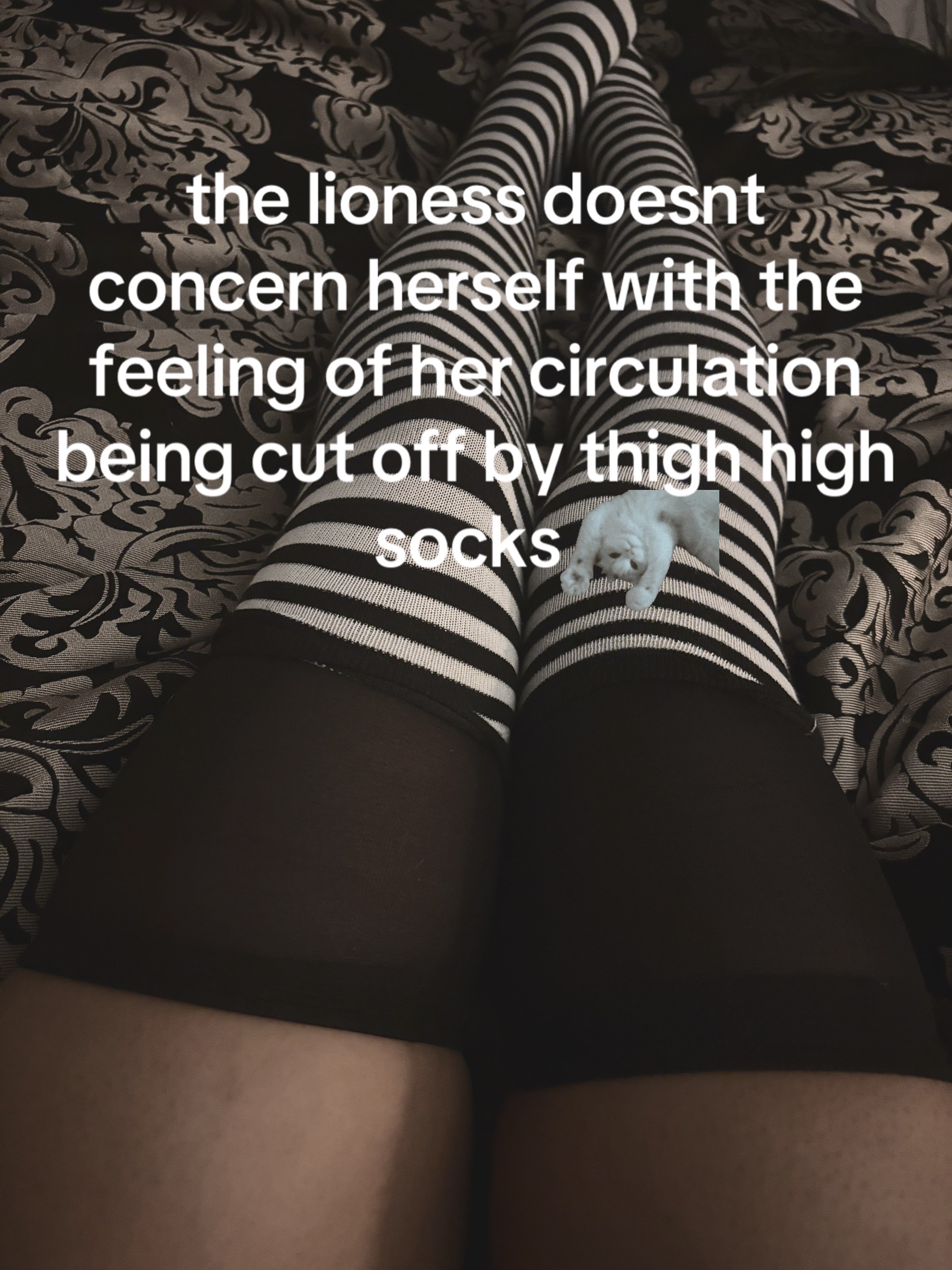 @️hex 𝜗𝜚