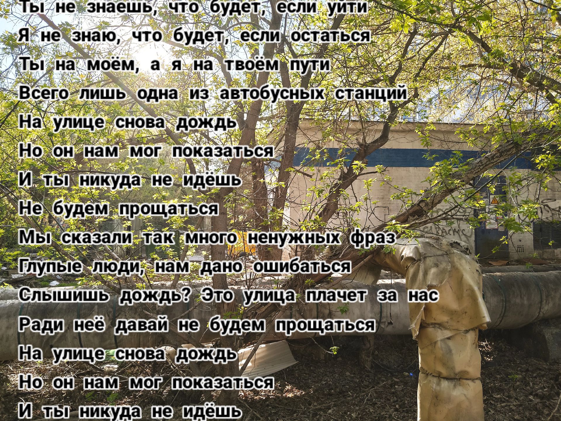 @borukenionsskateb