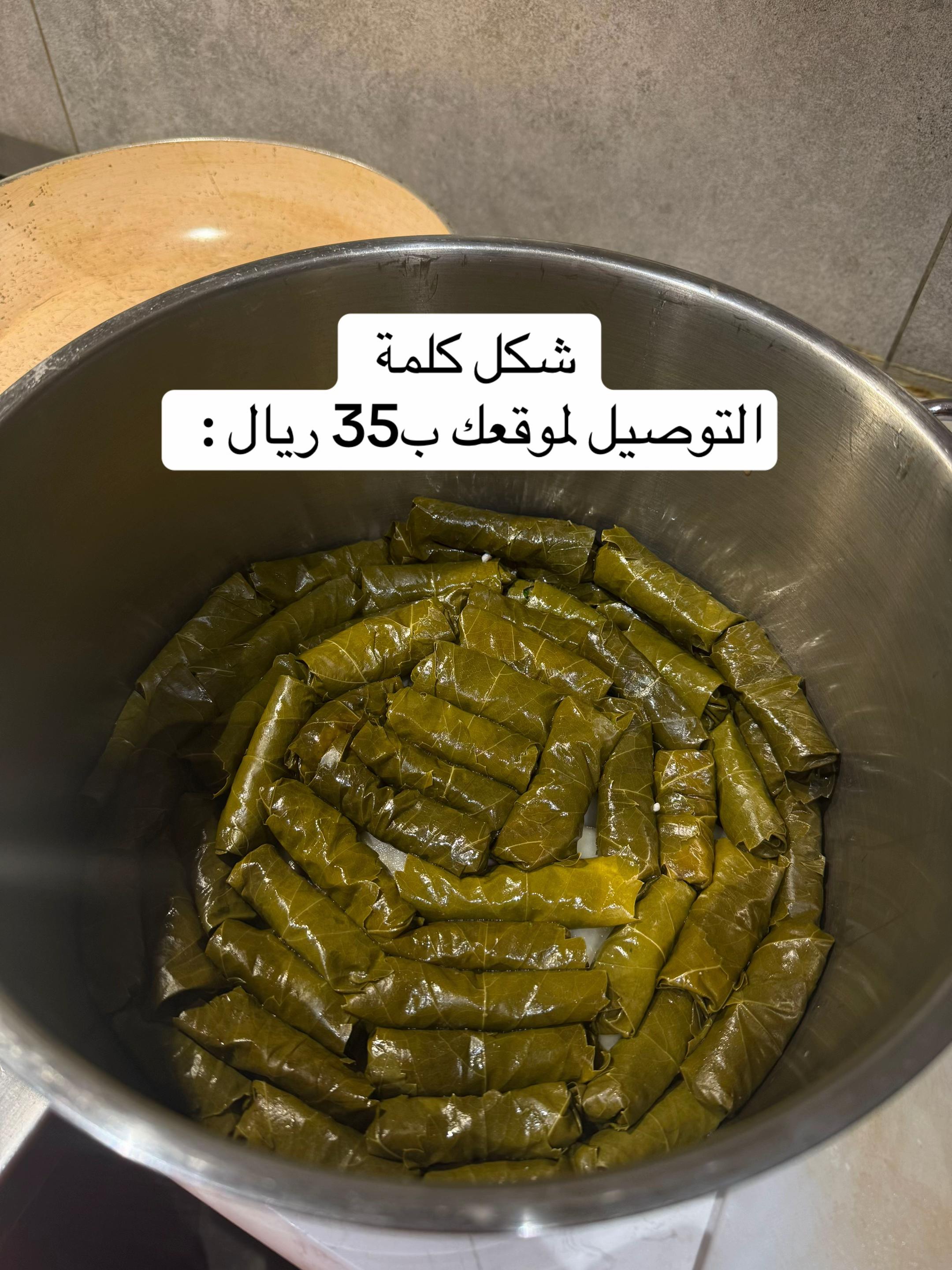 @Elara 🚀 | رحلة علم وحياة
