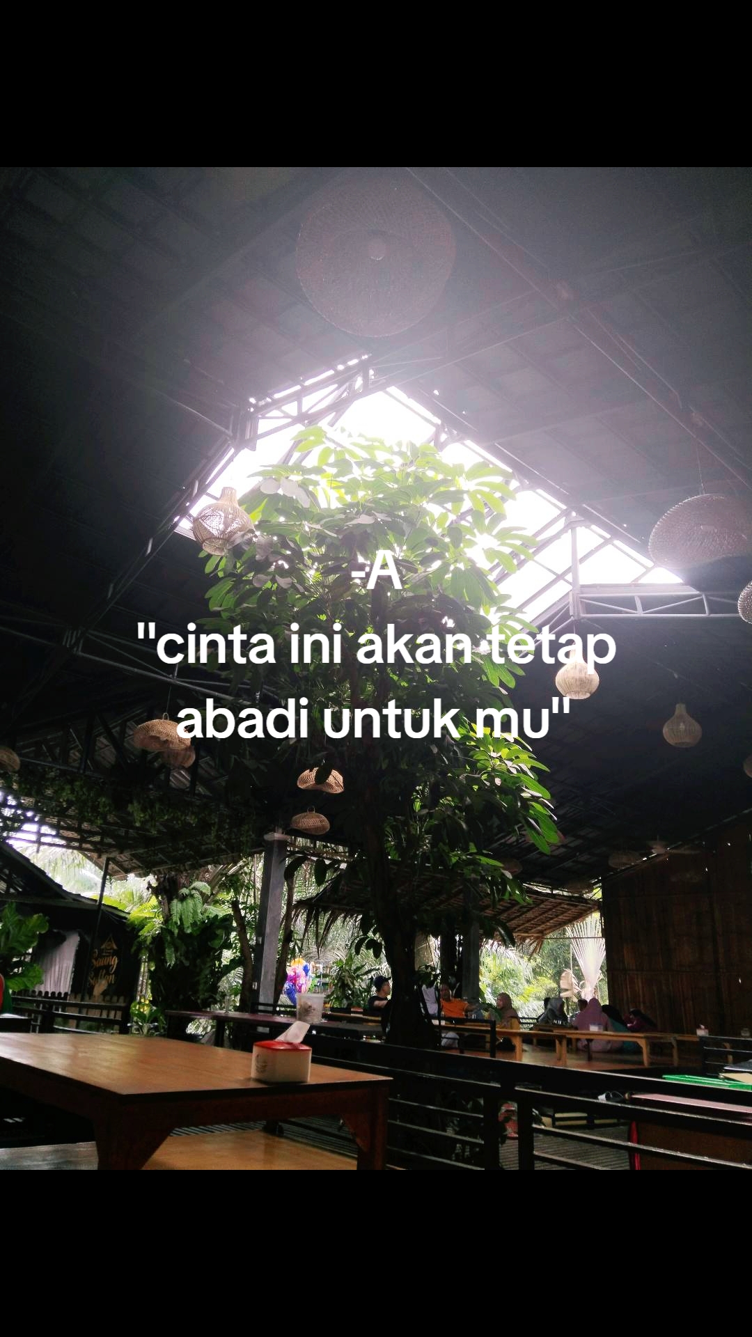 @Yoll