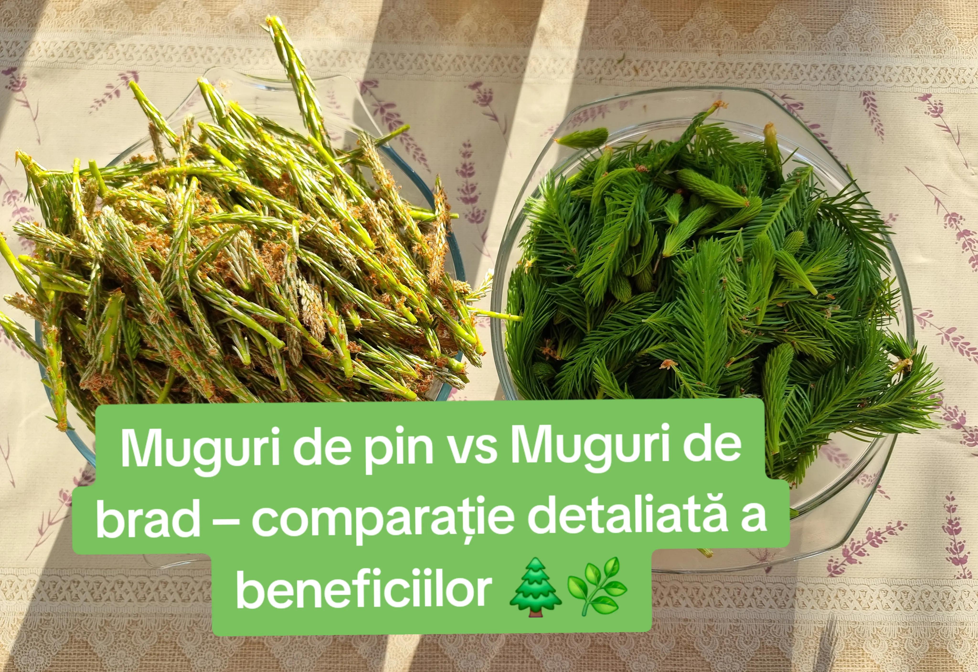 @🍎Din natură & Din tradiție