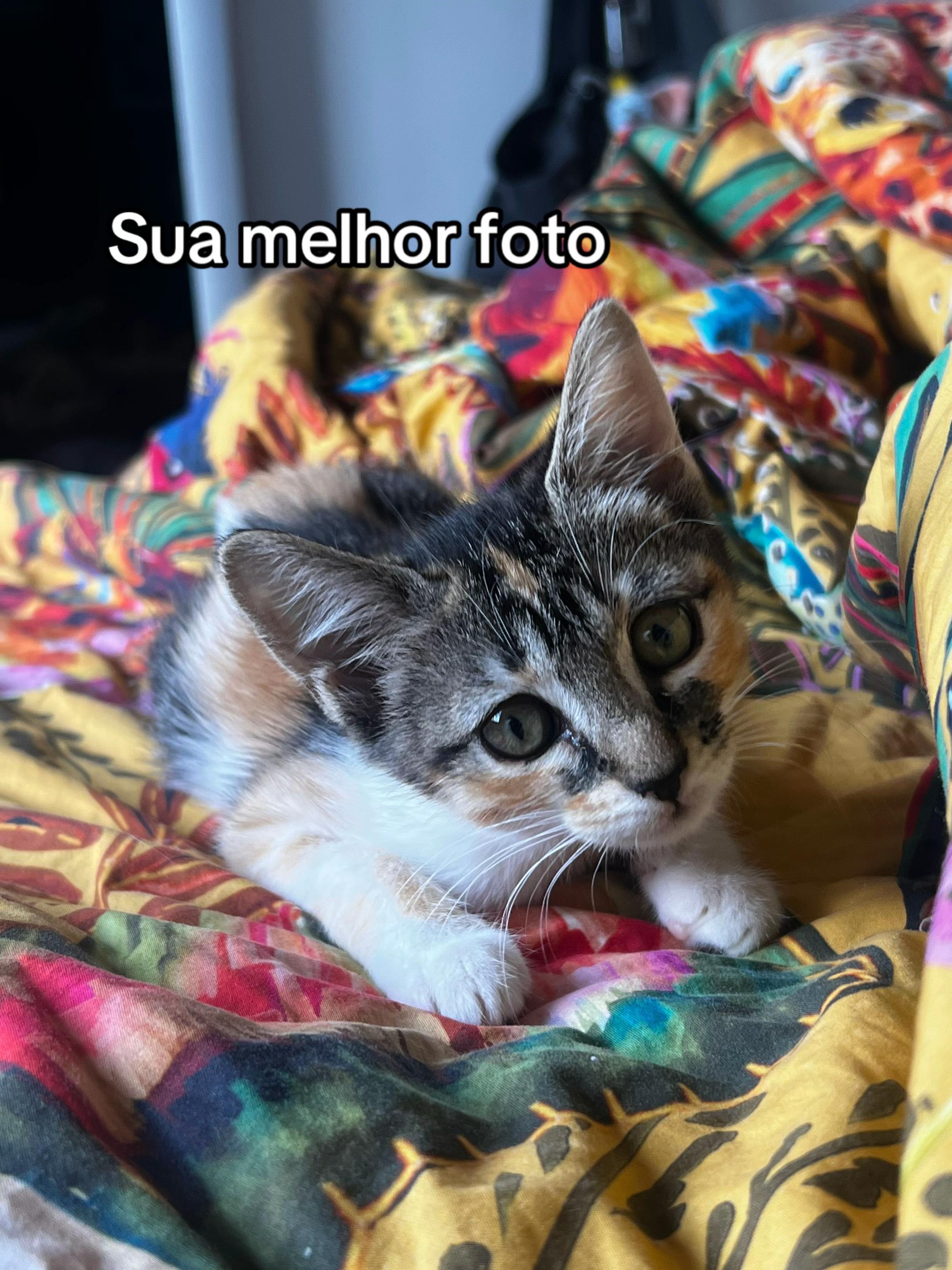 @Ana Elisa Mello
