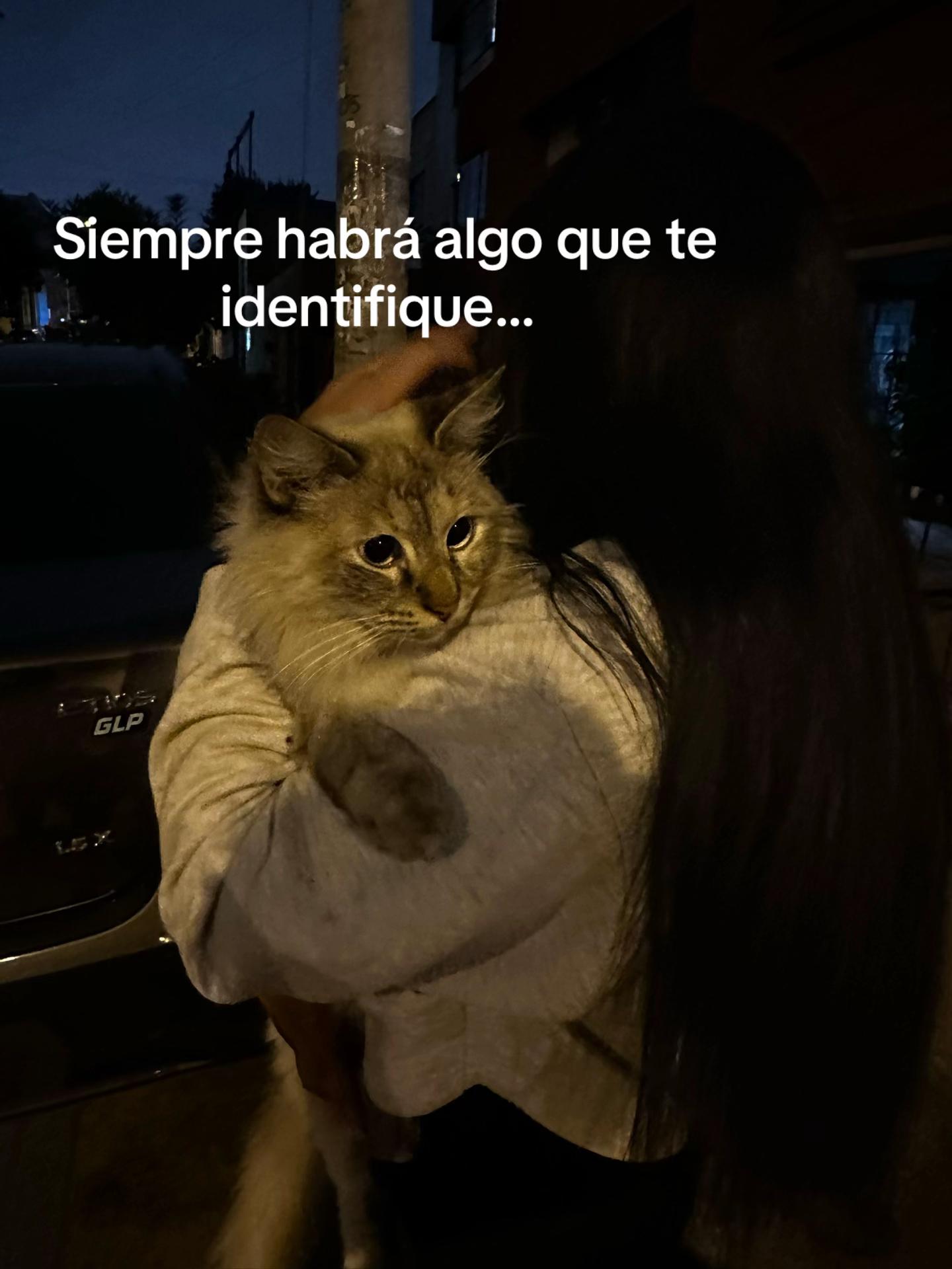 @maii🧃 