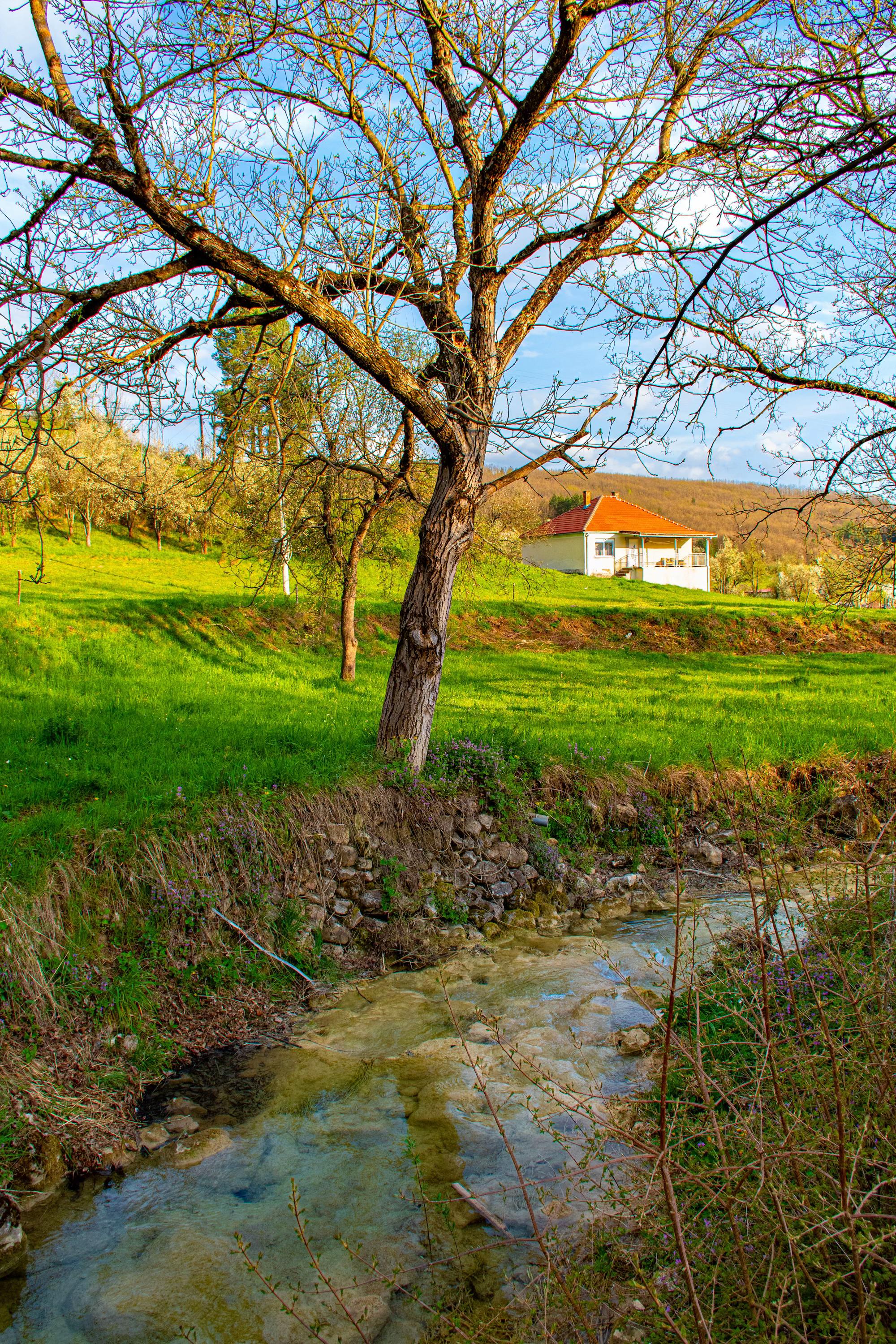 @Visit Berane