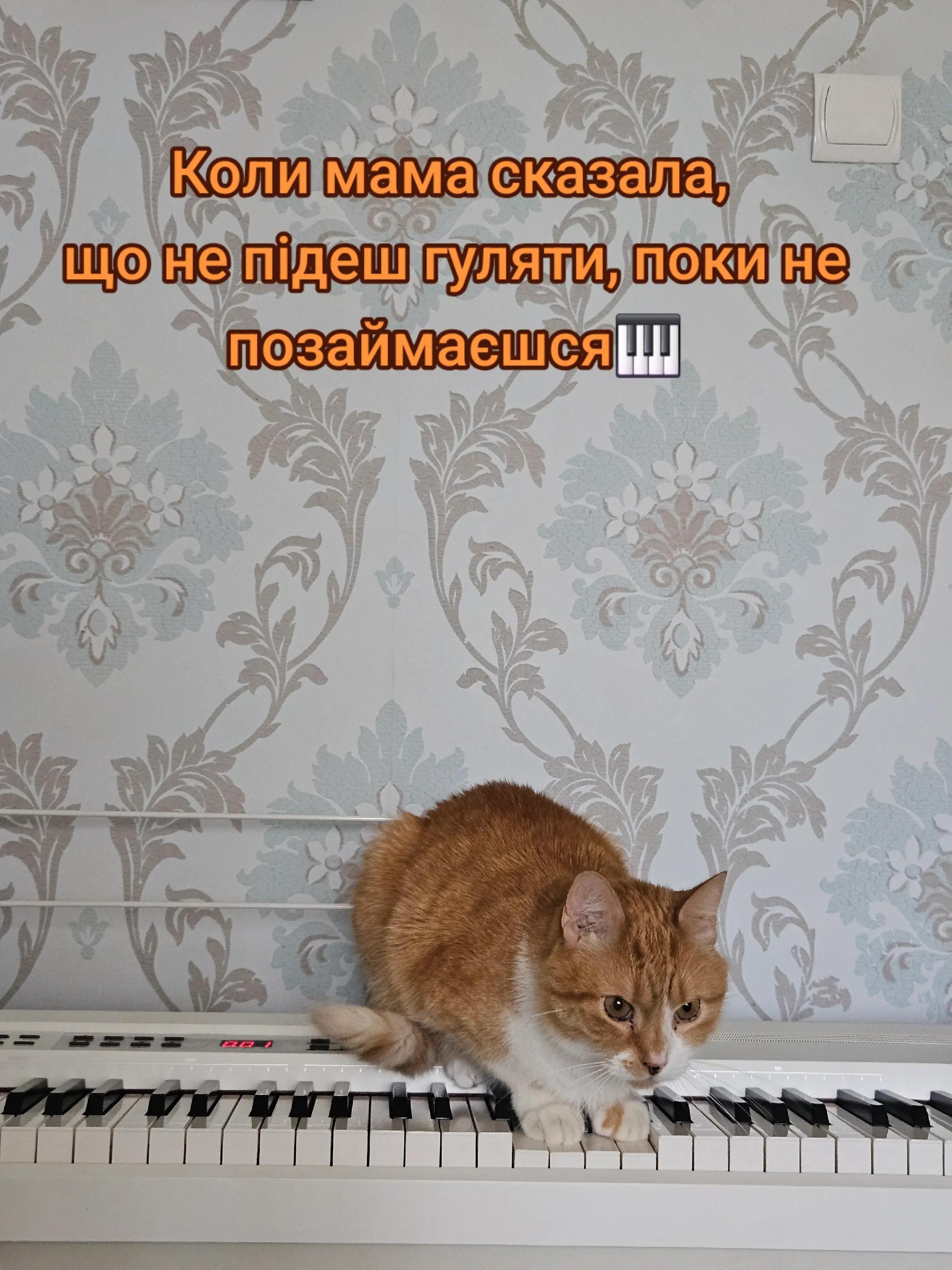 @Vasyl~Havniuk