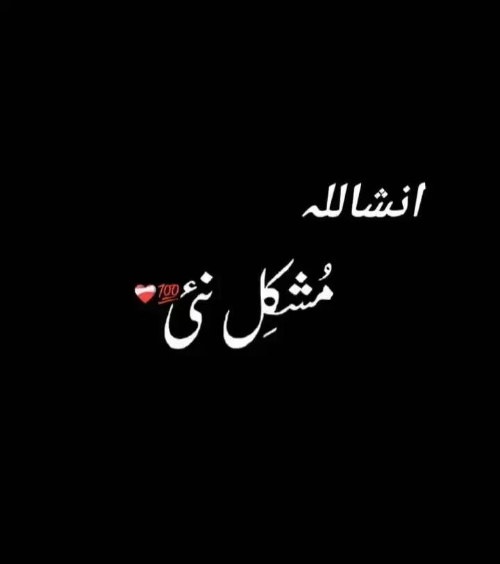 @راجہ 🐼
