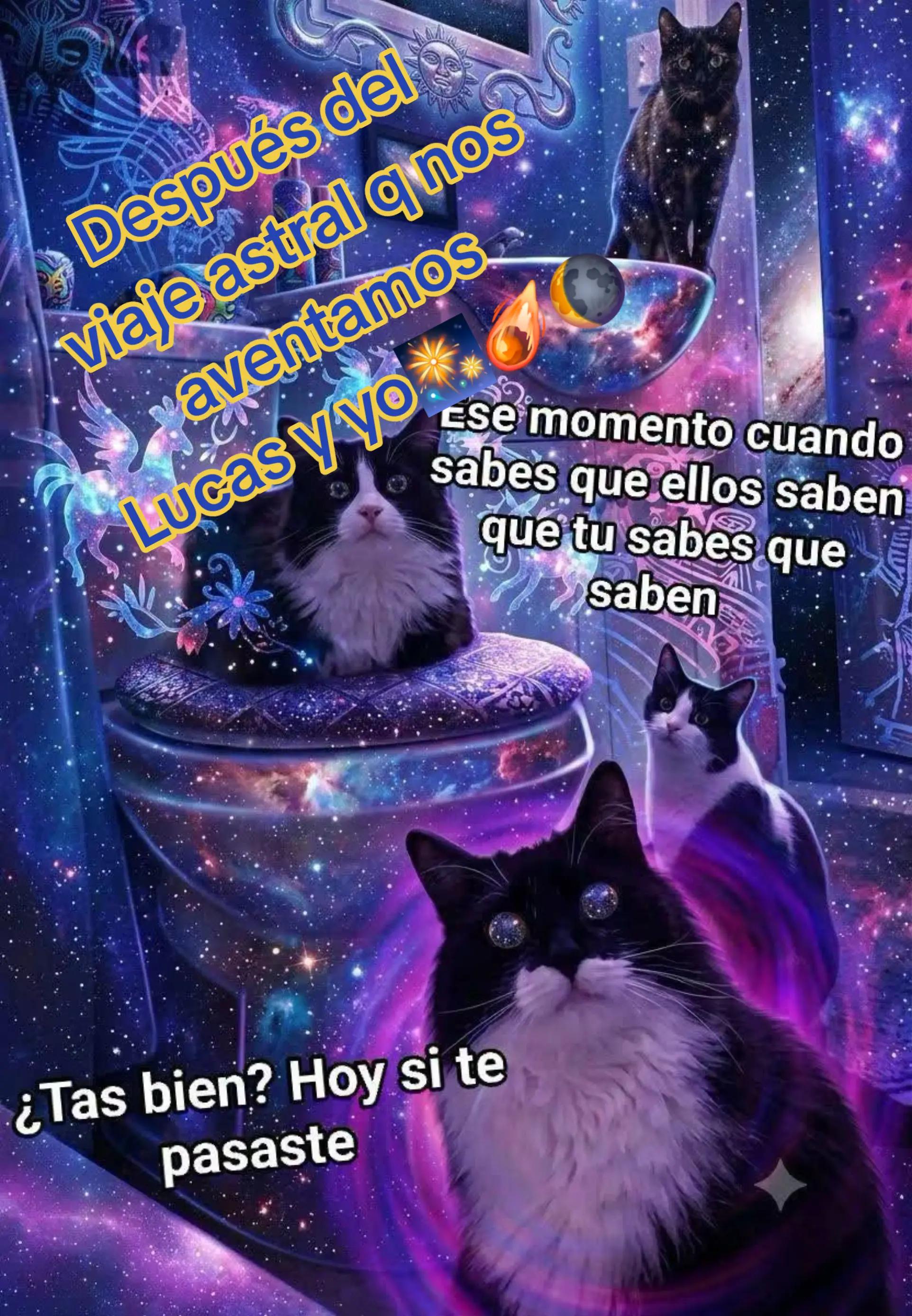 @Sola