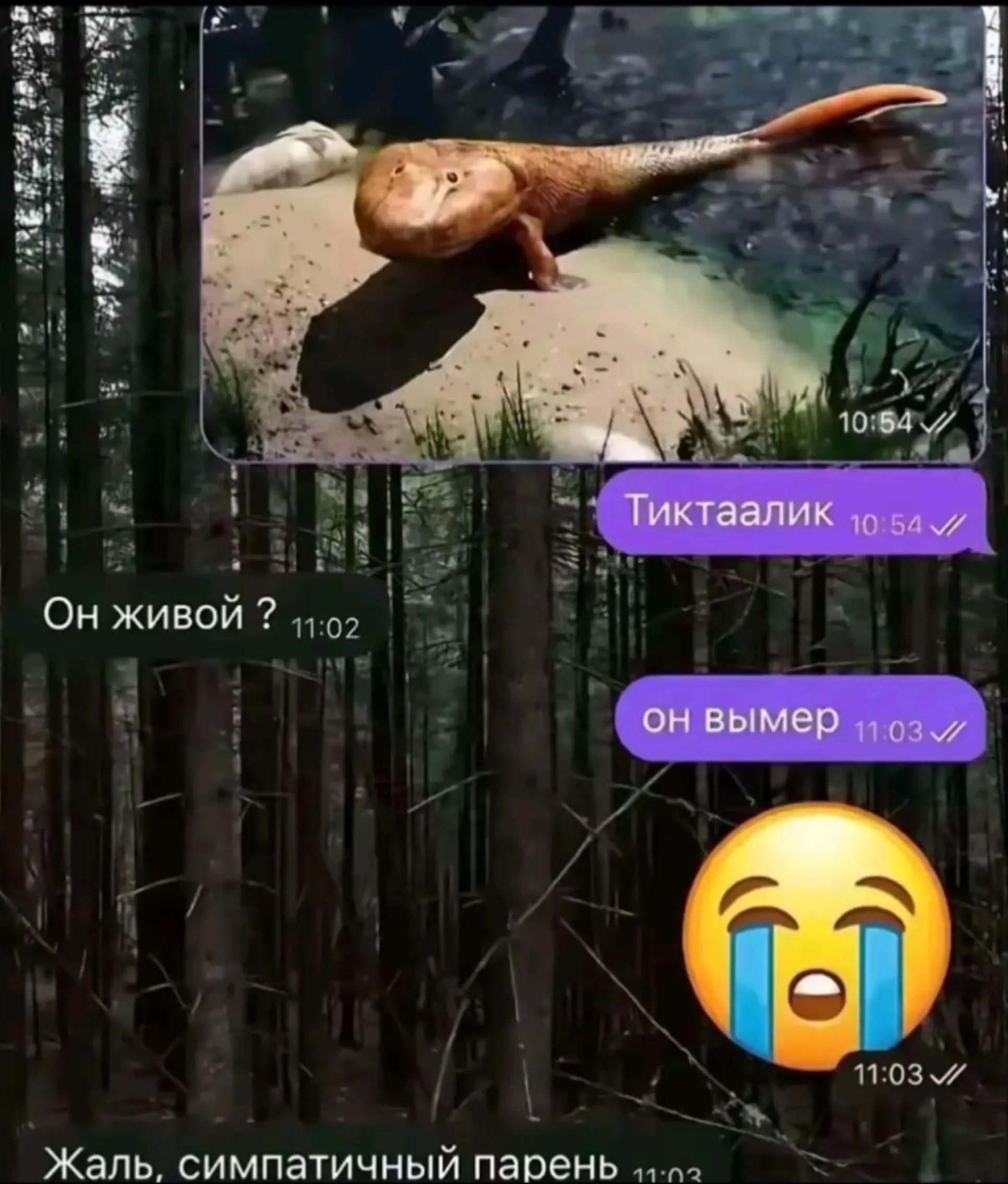 @Жел