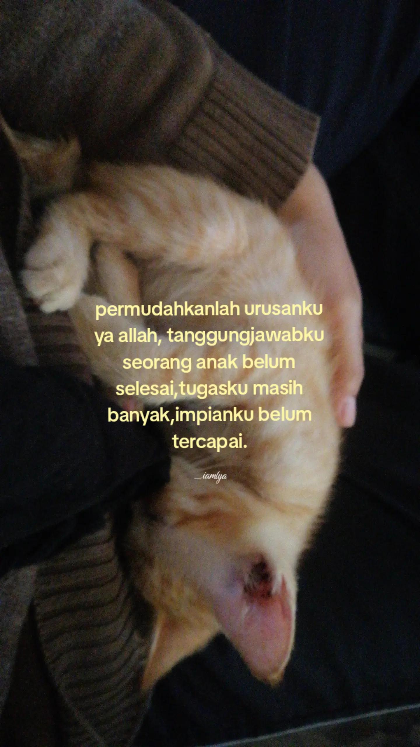 @๐ฆ ููุฑ ุนููุงุก