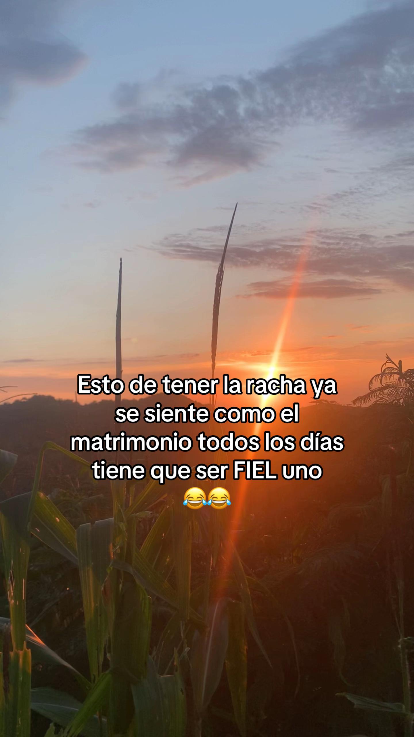 @Iris Cristal García Ocampo