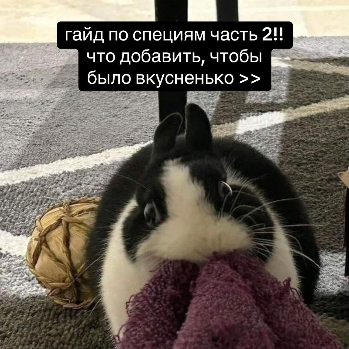 @леся ᴗ̈