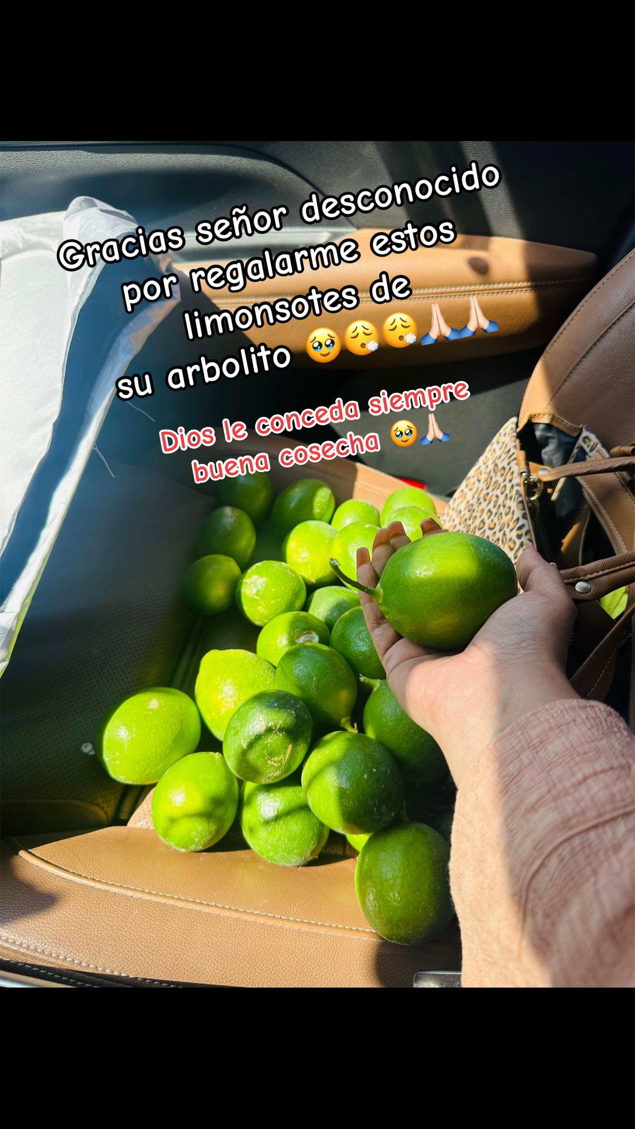 @Clau Guerrero❤️