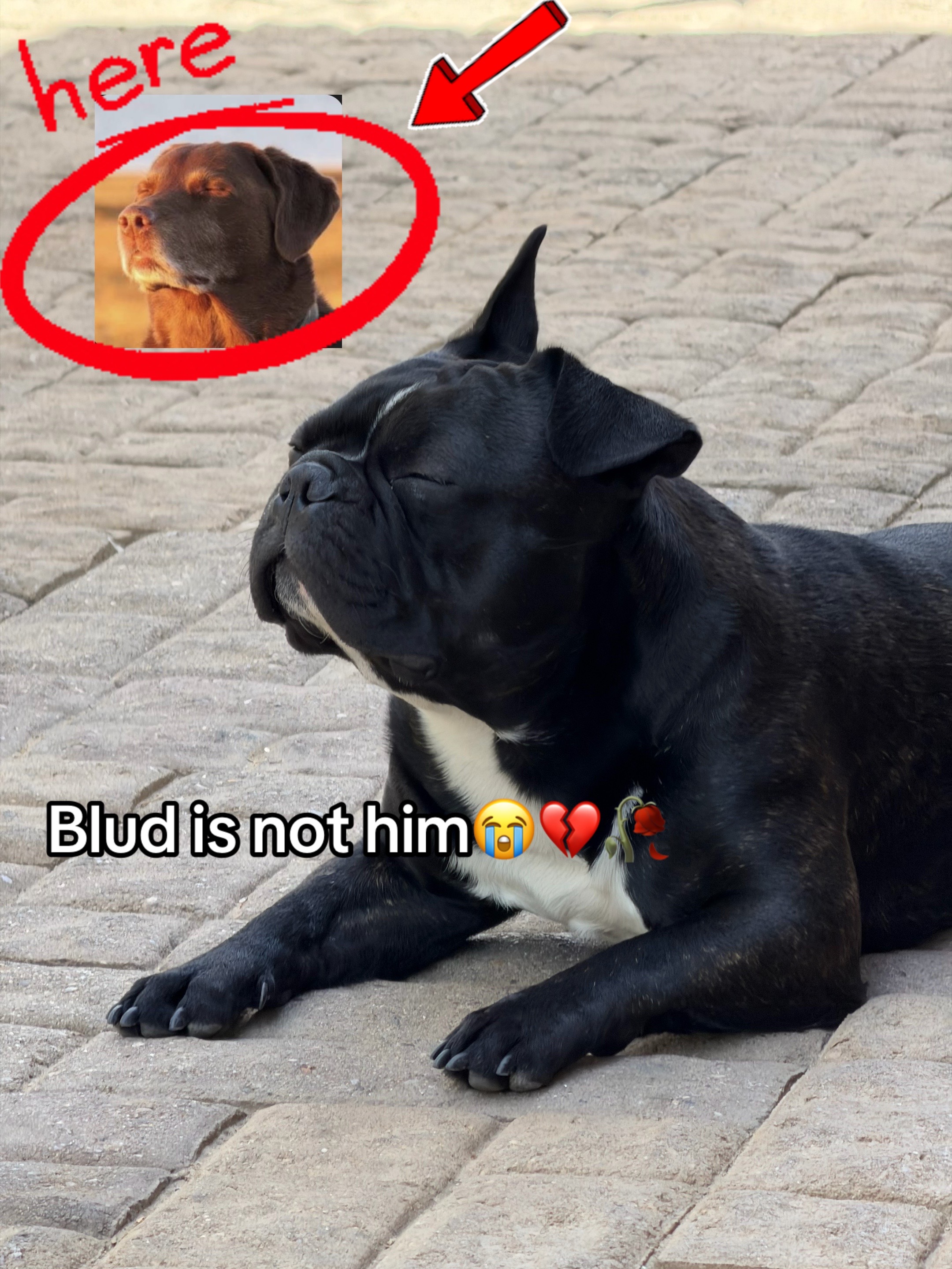 @𝐔𝐧𝐤.𝐧𝐨𝐰.𝐧 𝐉𝟑𝐜𝟎𝐛ひ