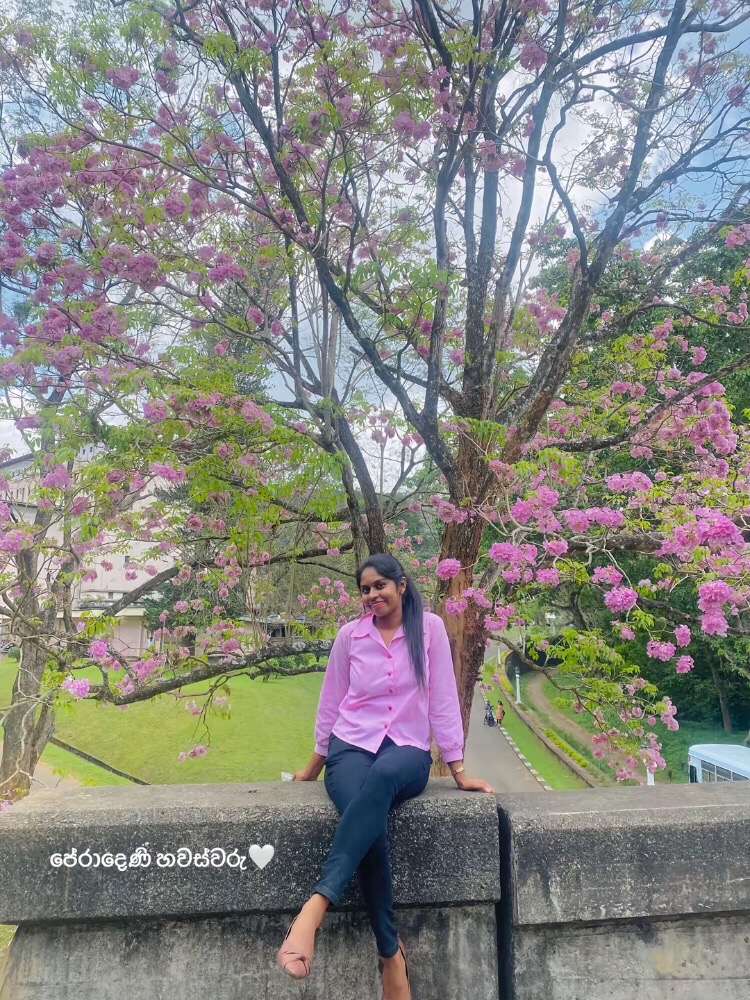 @Nethmi Nawanjana Wijayarathna