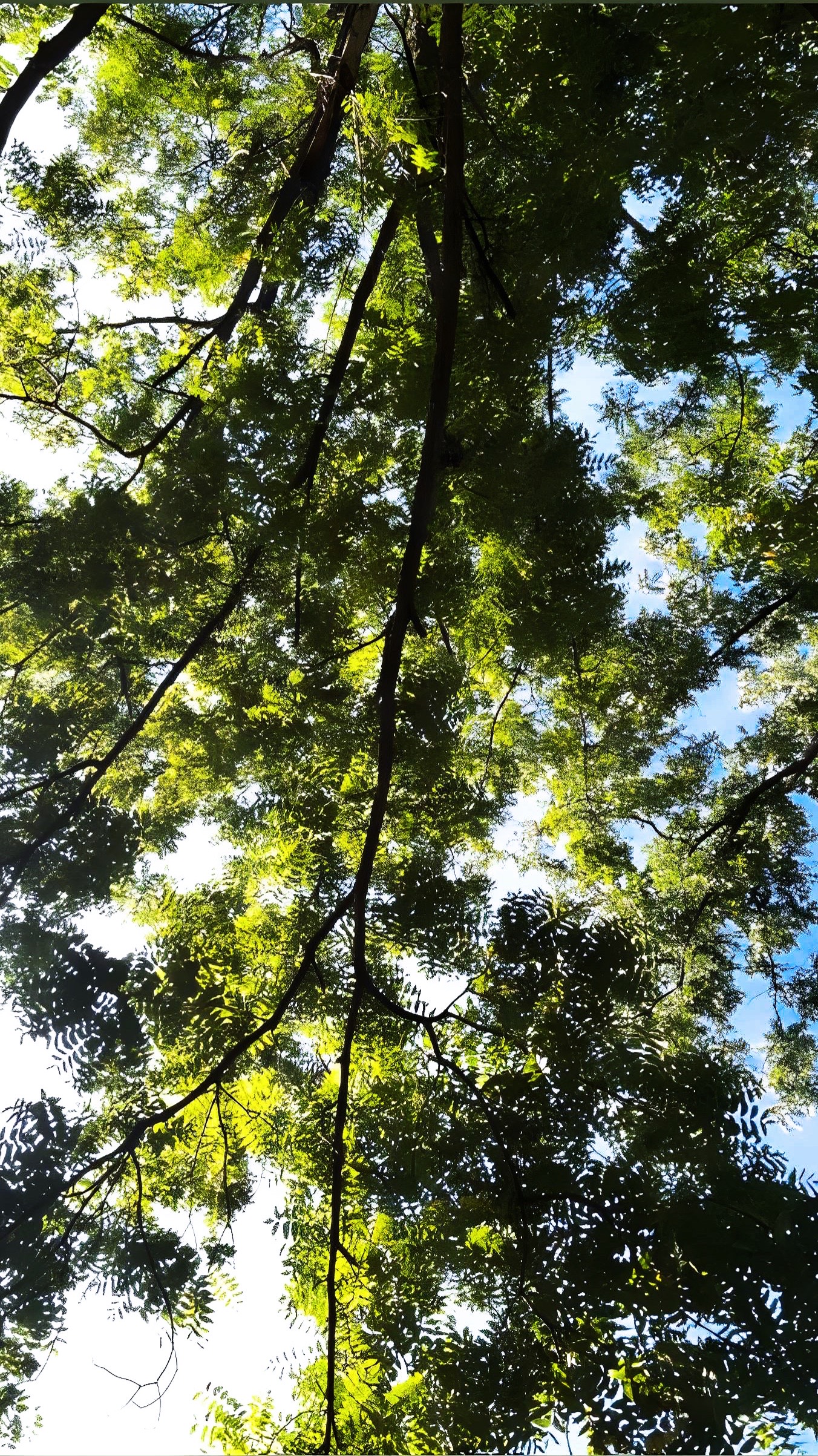 @unknown