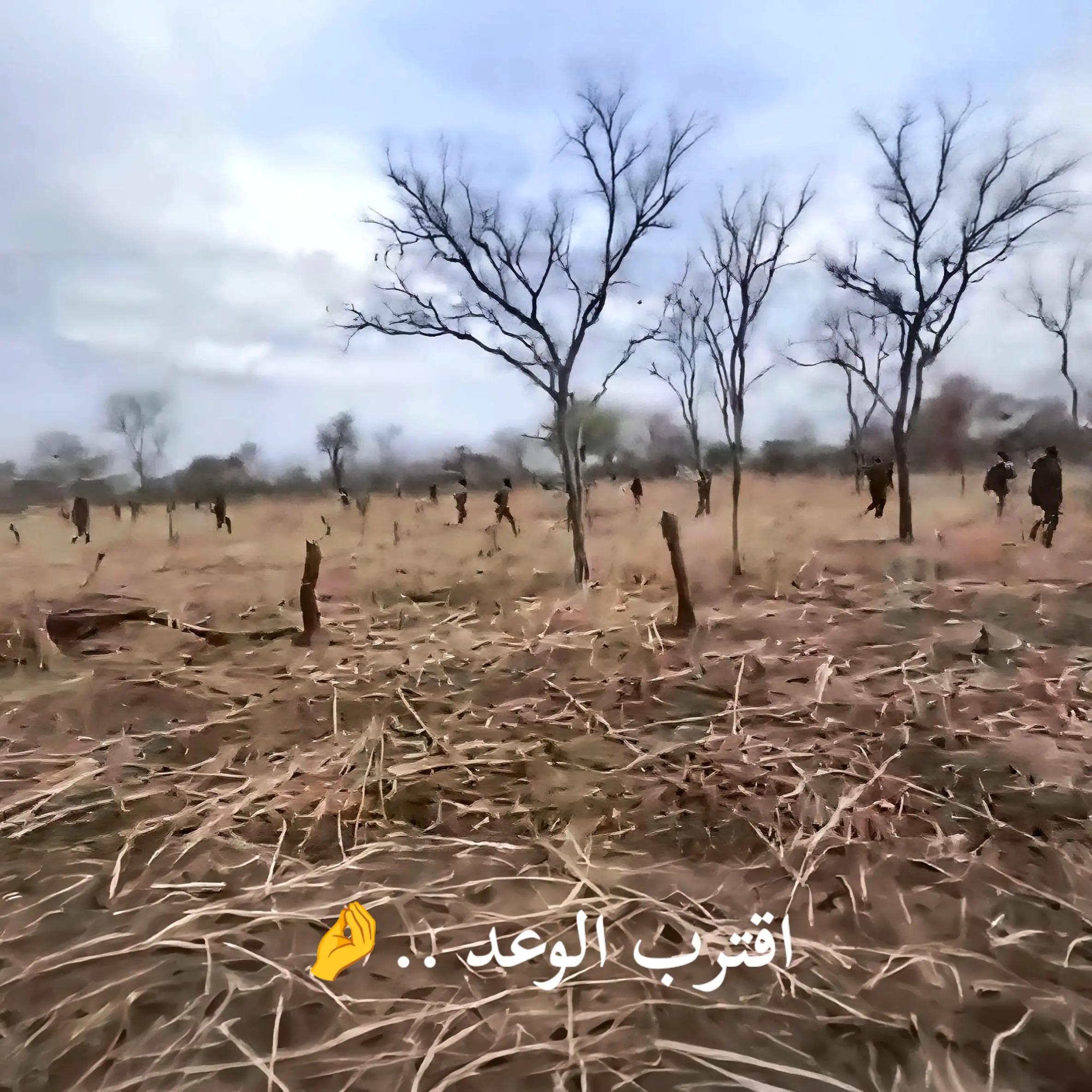 @جند الكلية الحربية