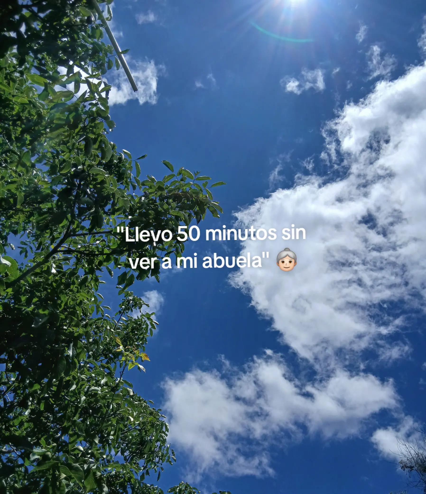 @Haydet 🤍✨️