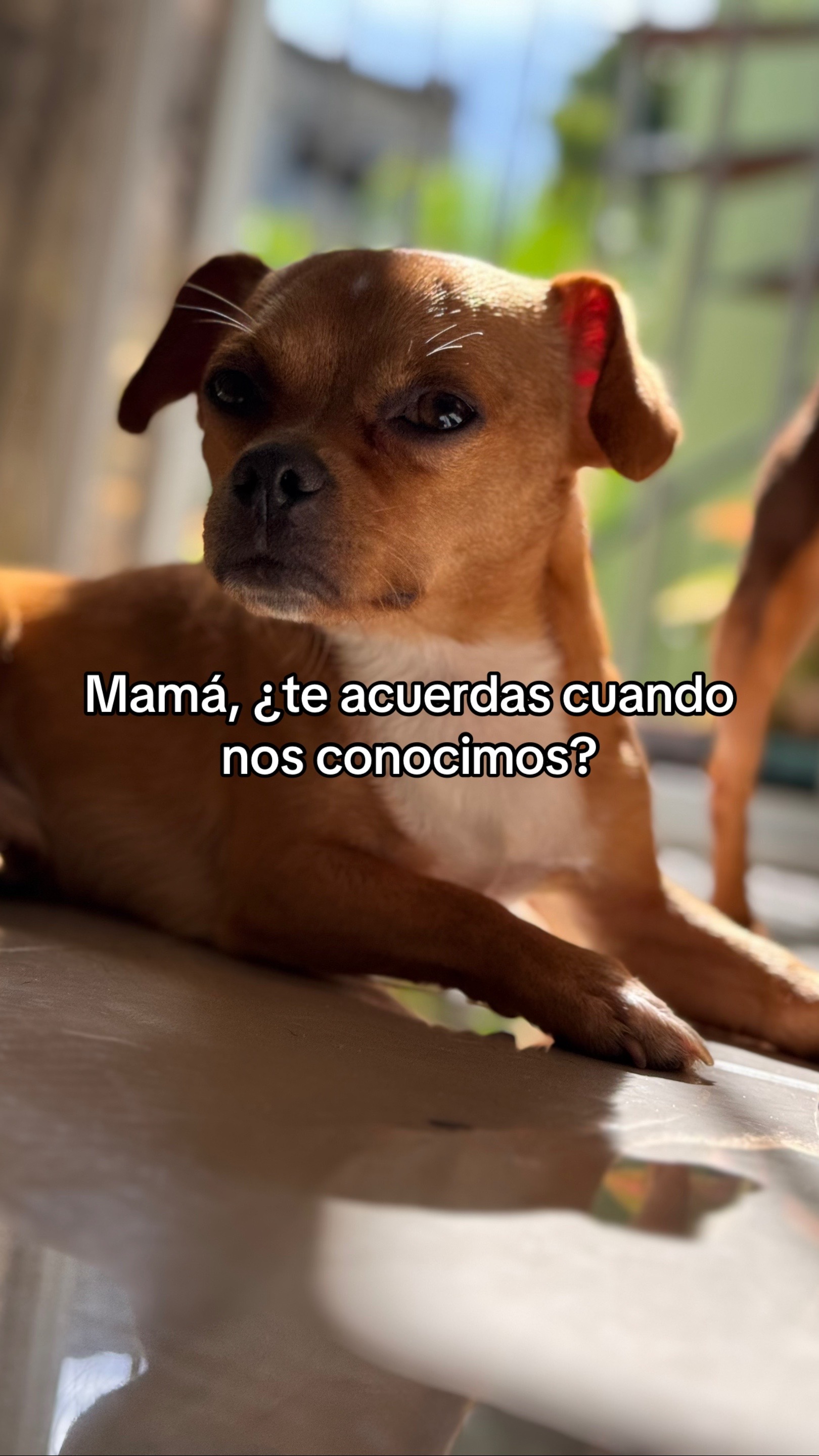 @Lavidaconnico