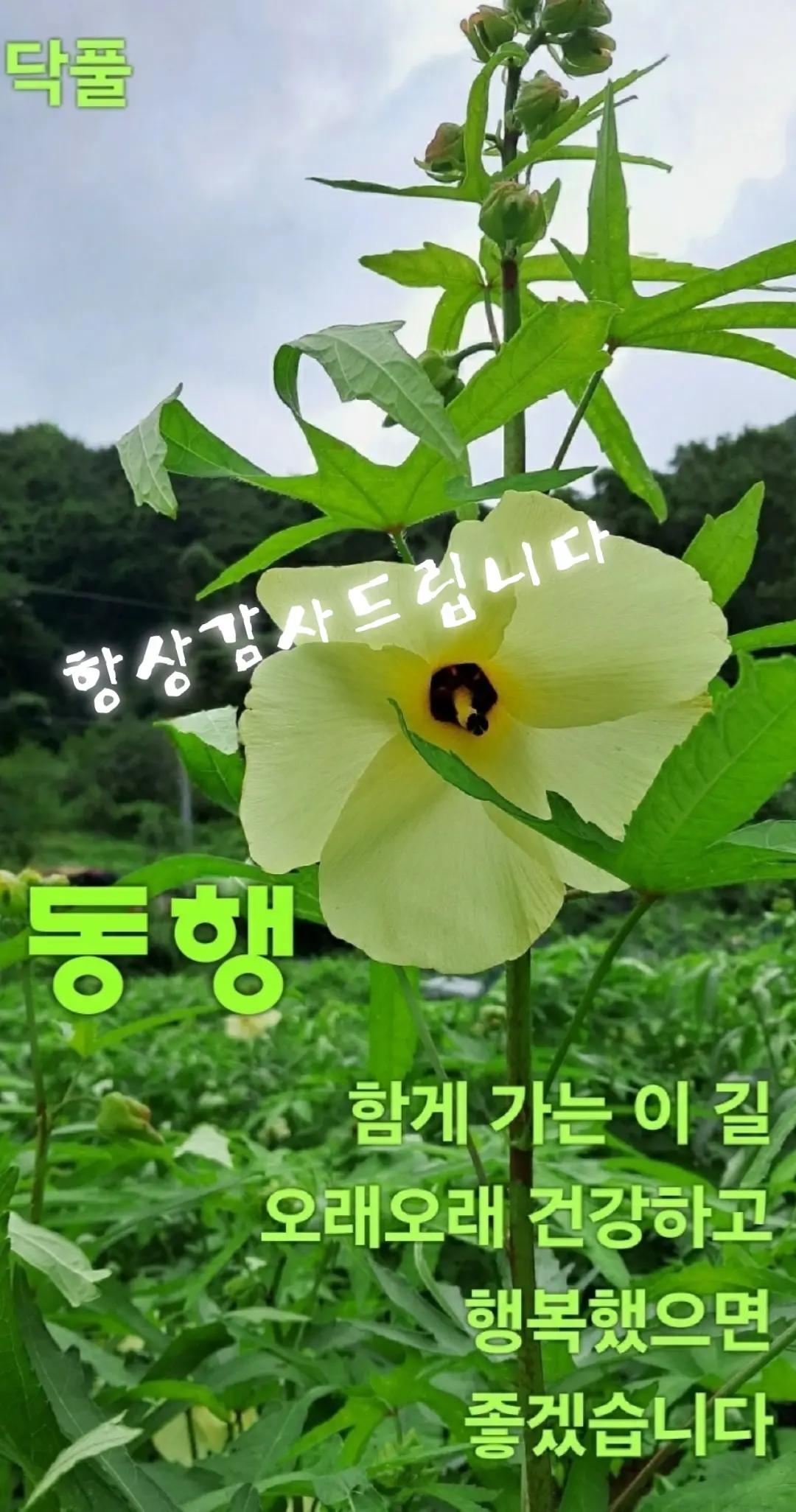 @이창룡