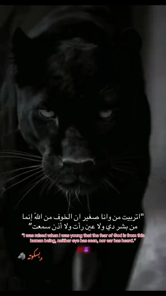 @المكسيكي لآ يخون 🥇