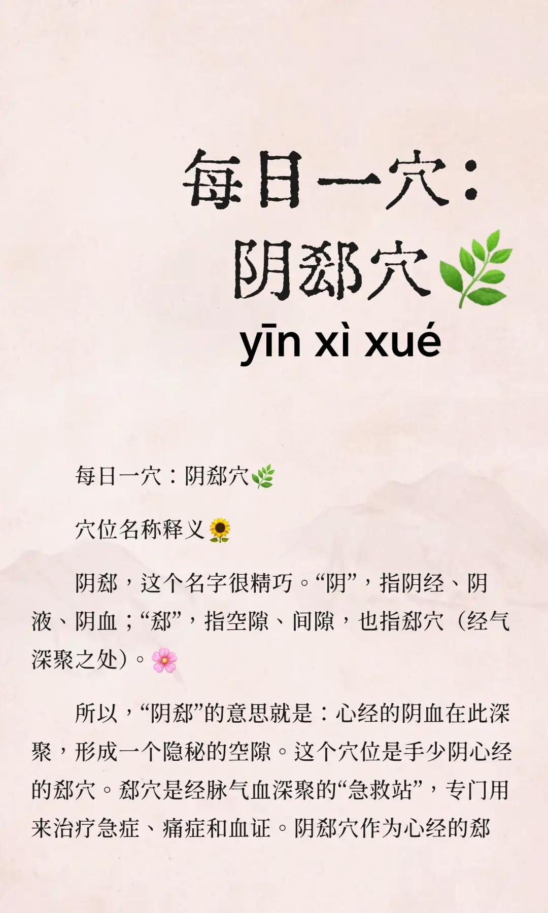 @穴位