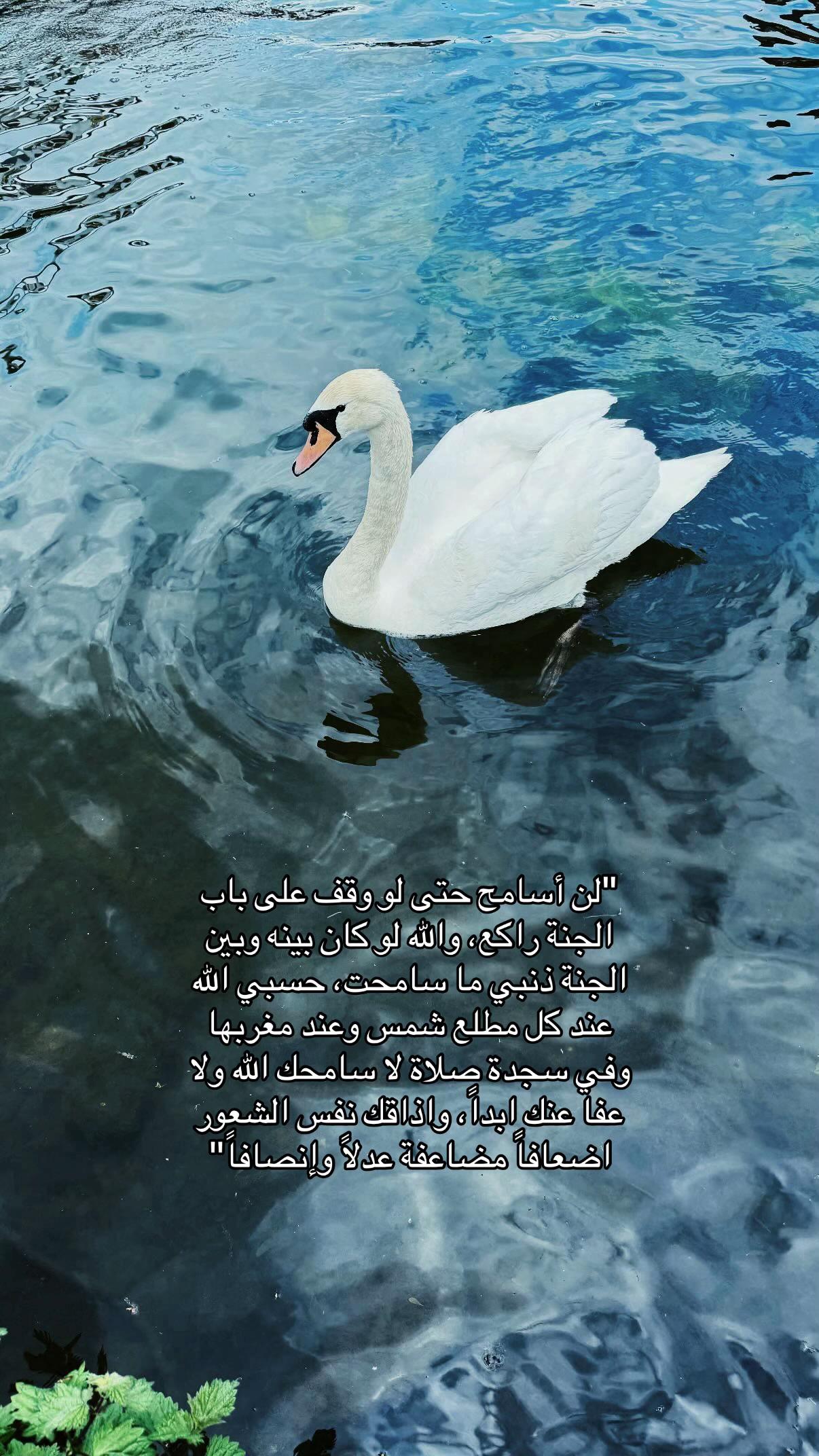 @﷽