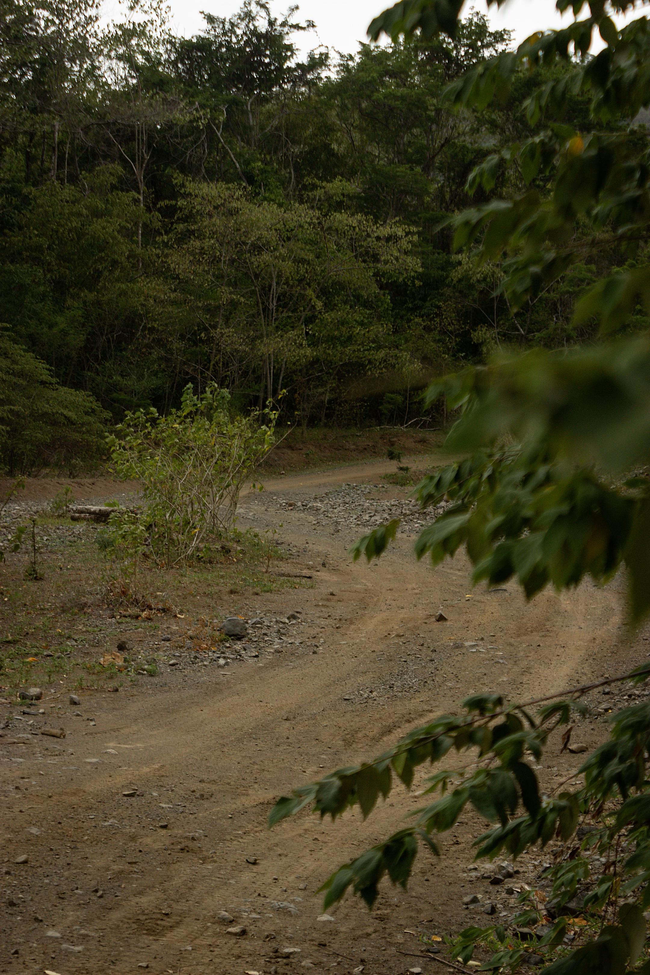 @DiegoJ-Naturaleza