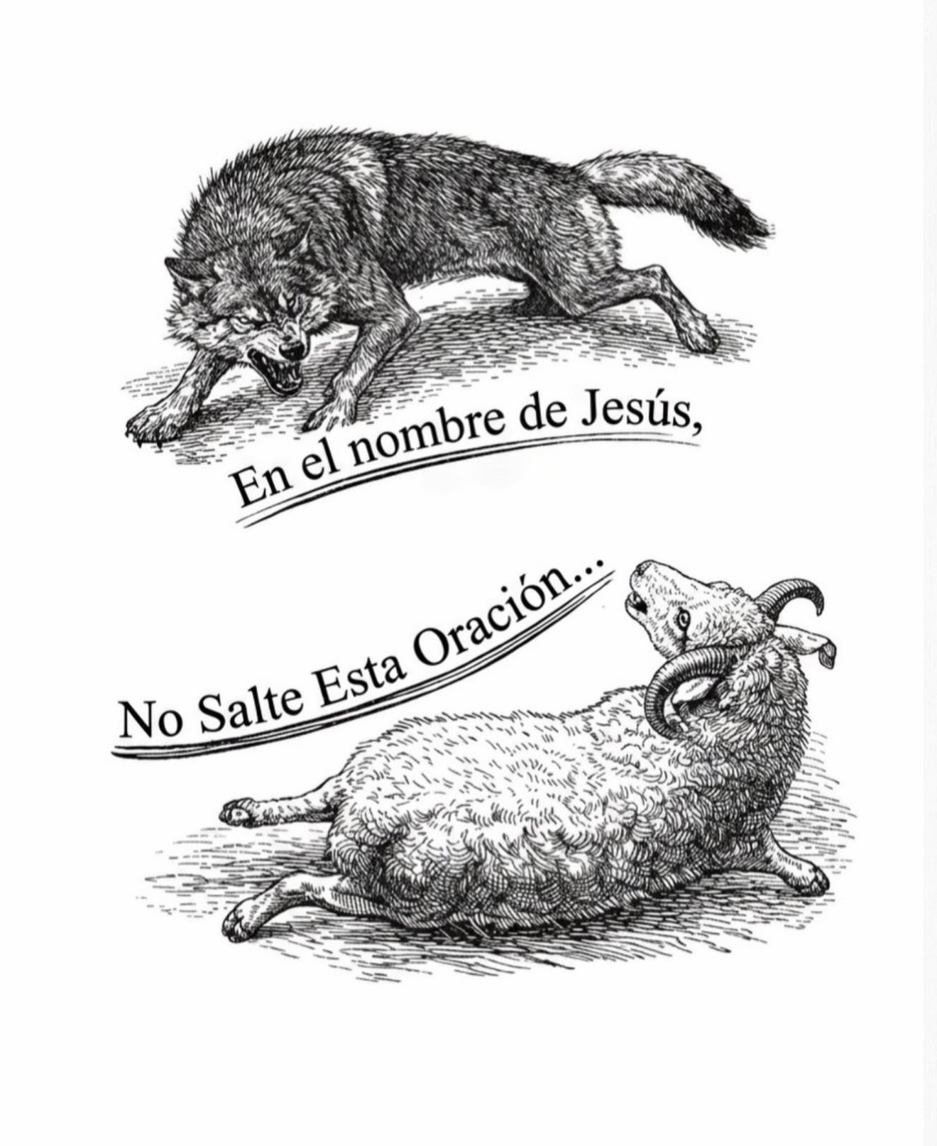 @alexander___espinal
