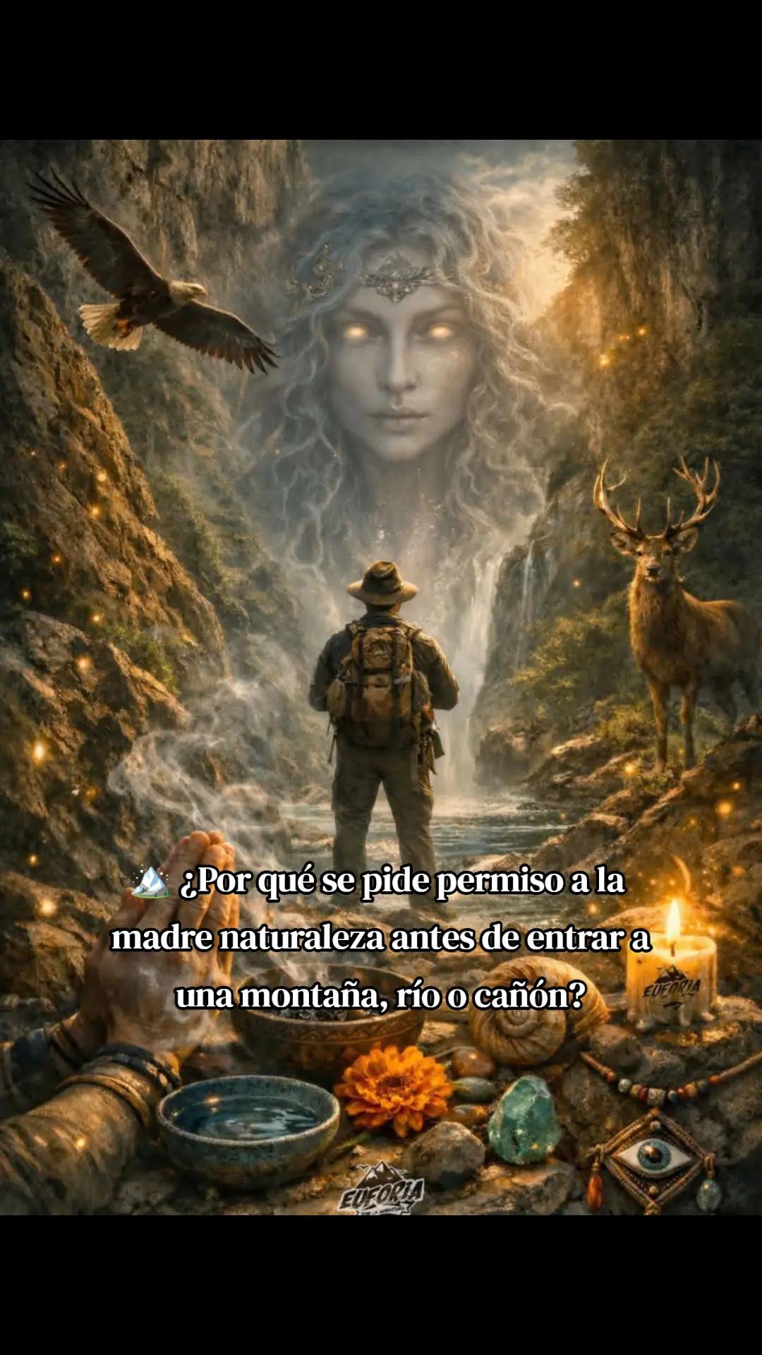 @🍀Melia_conciencia viva