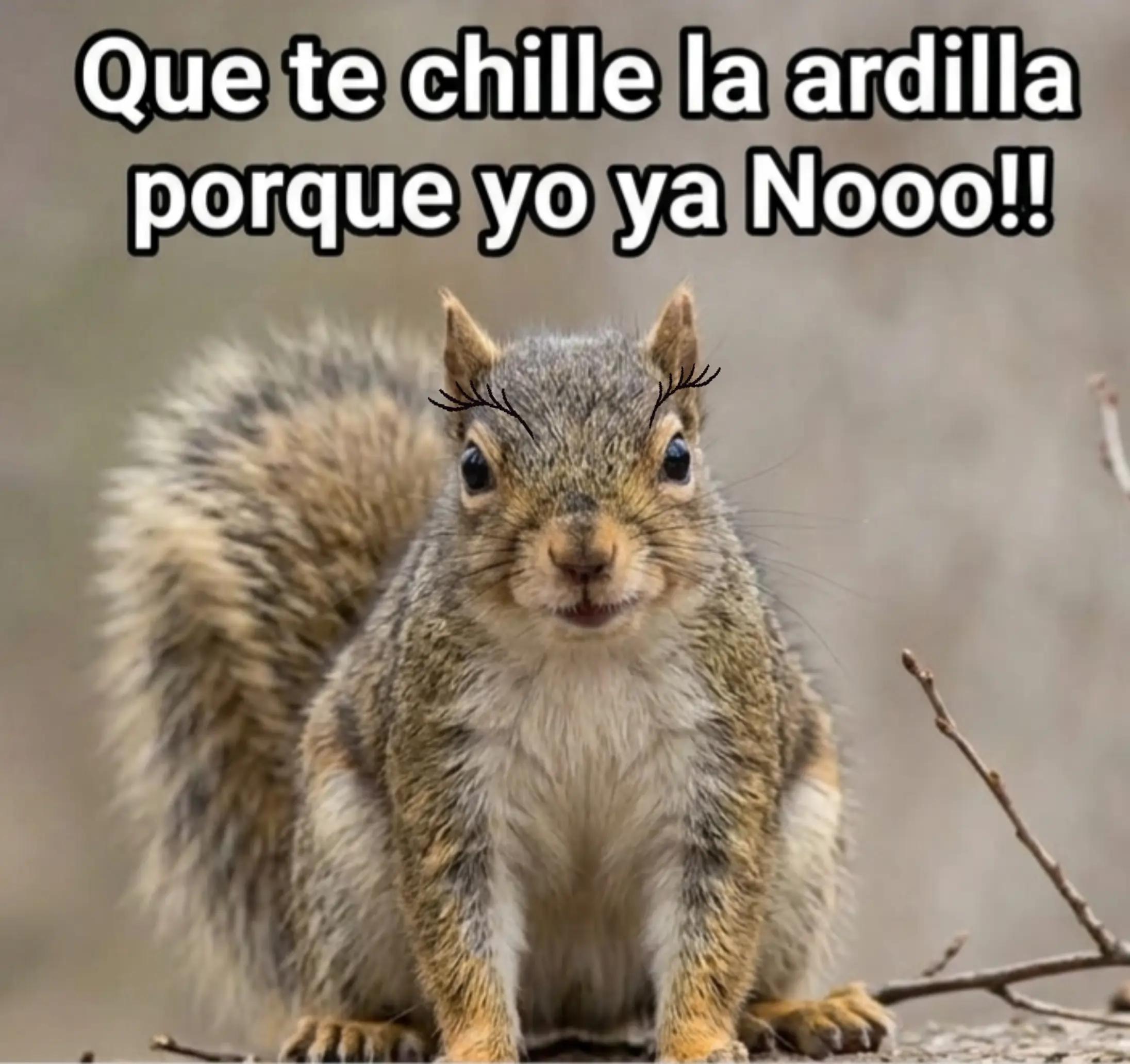 @didi