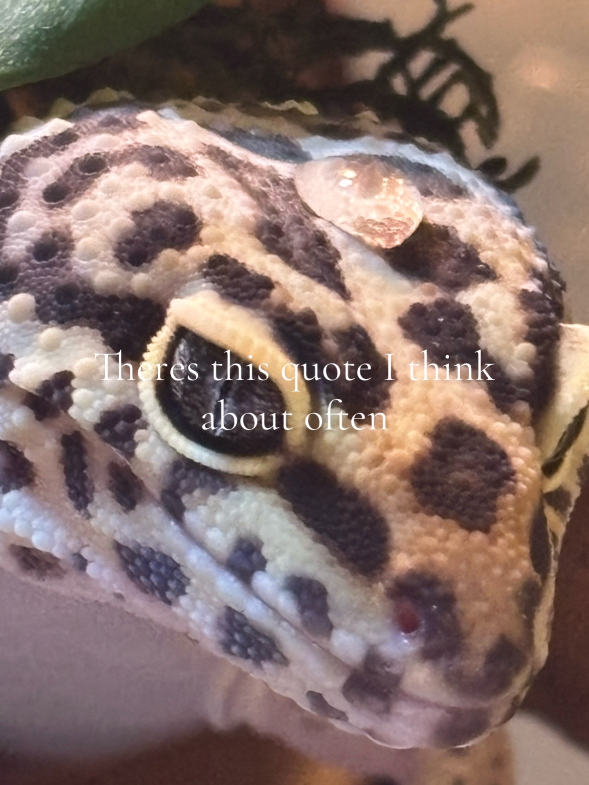 @★ᴍᴇɪ ᴍᴇɪ★