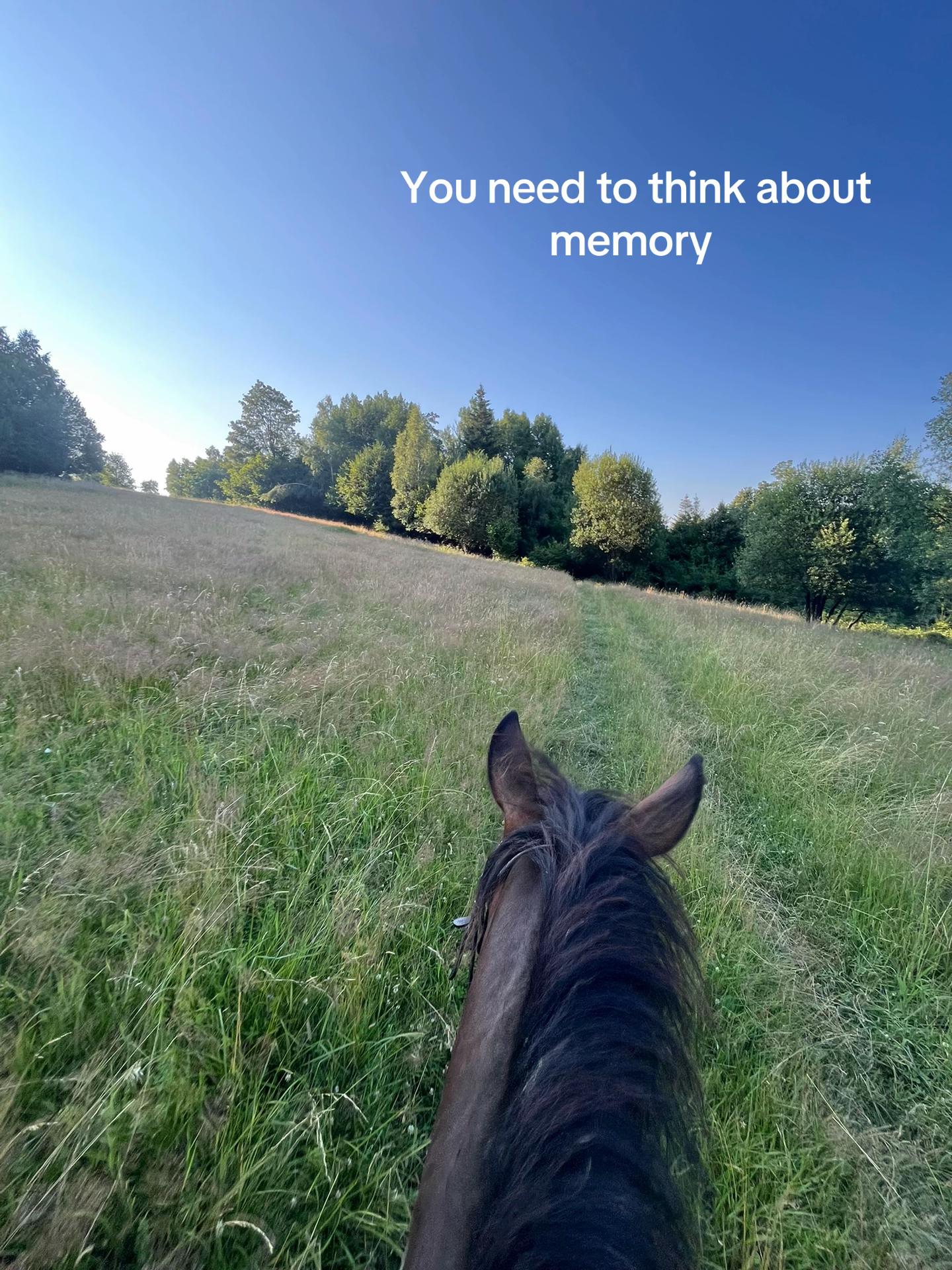 @s.equestrian