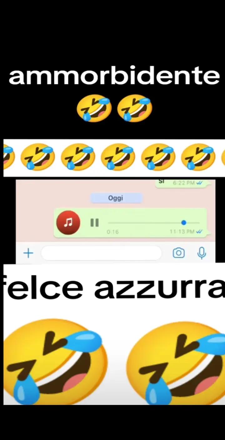 @misterbit85