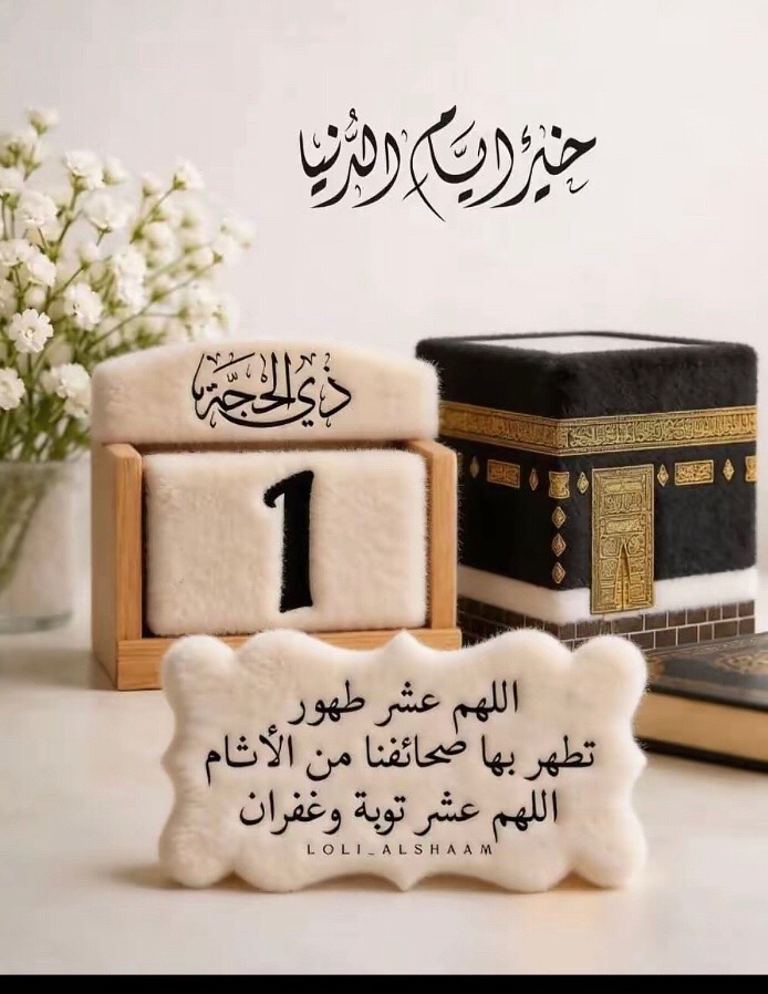 @Bassma Elkholy