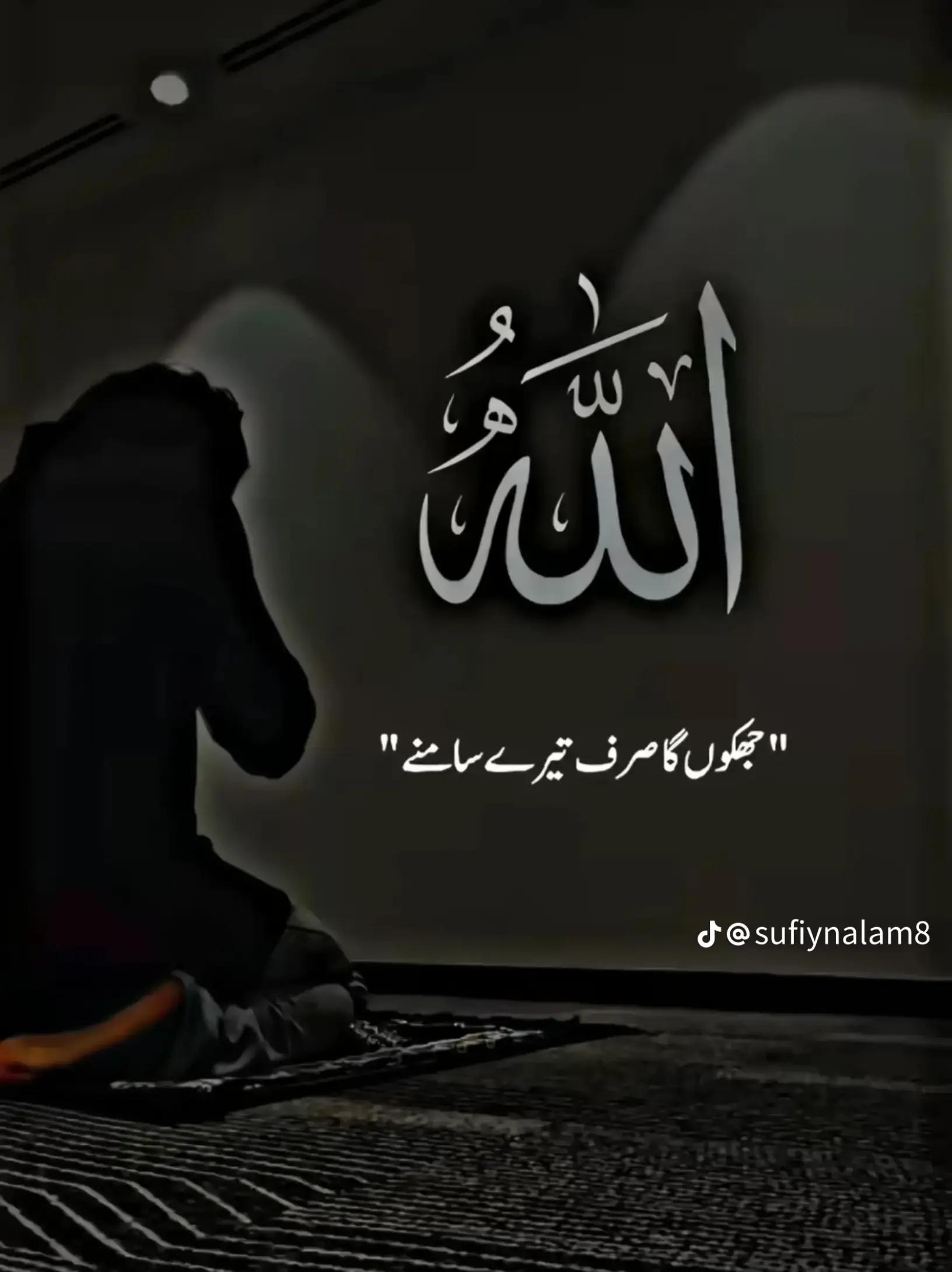 @M.Humza Sheikh