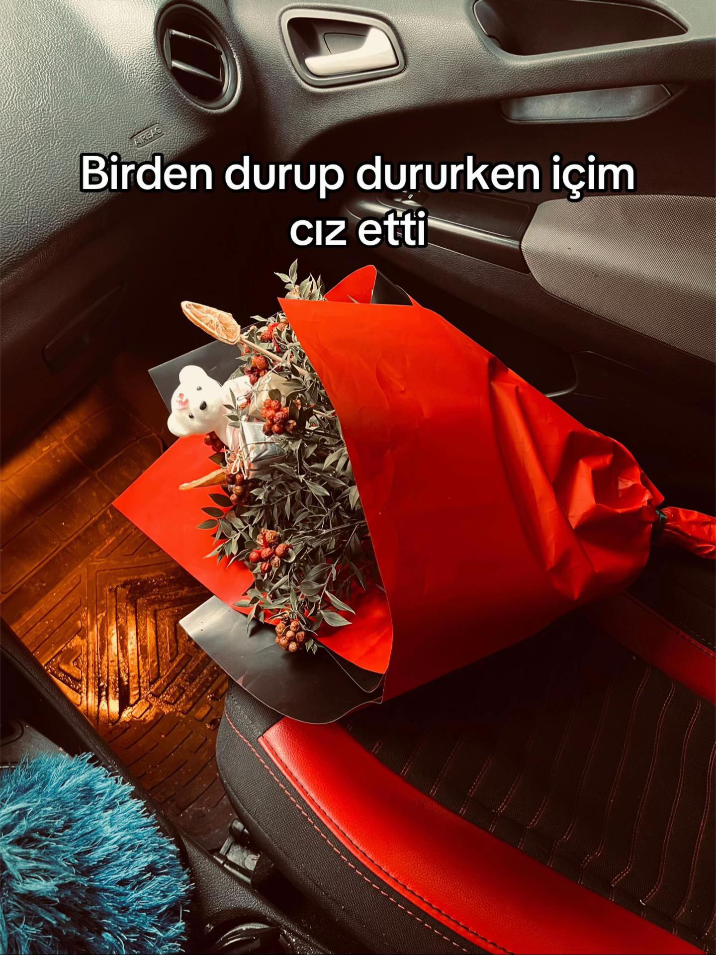 @ALİCAN