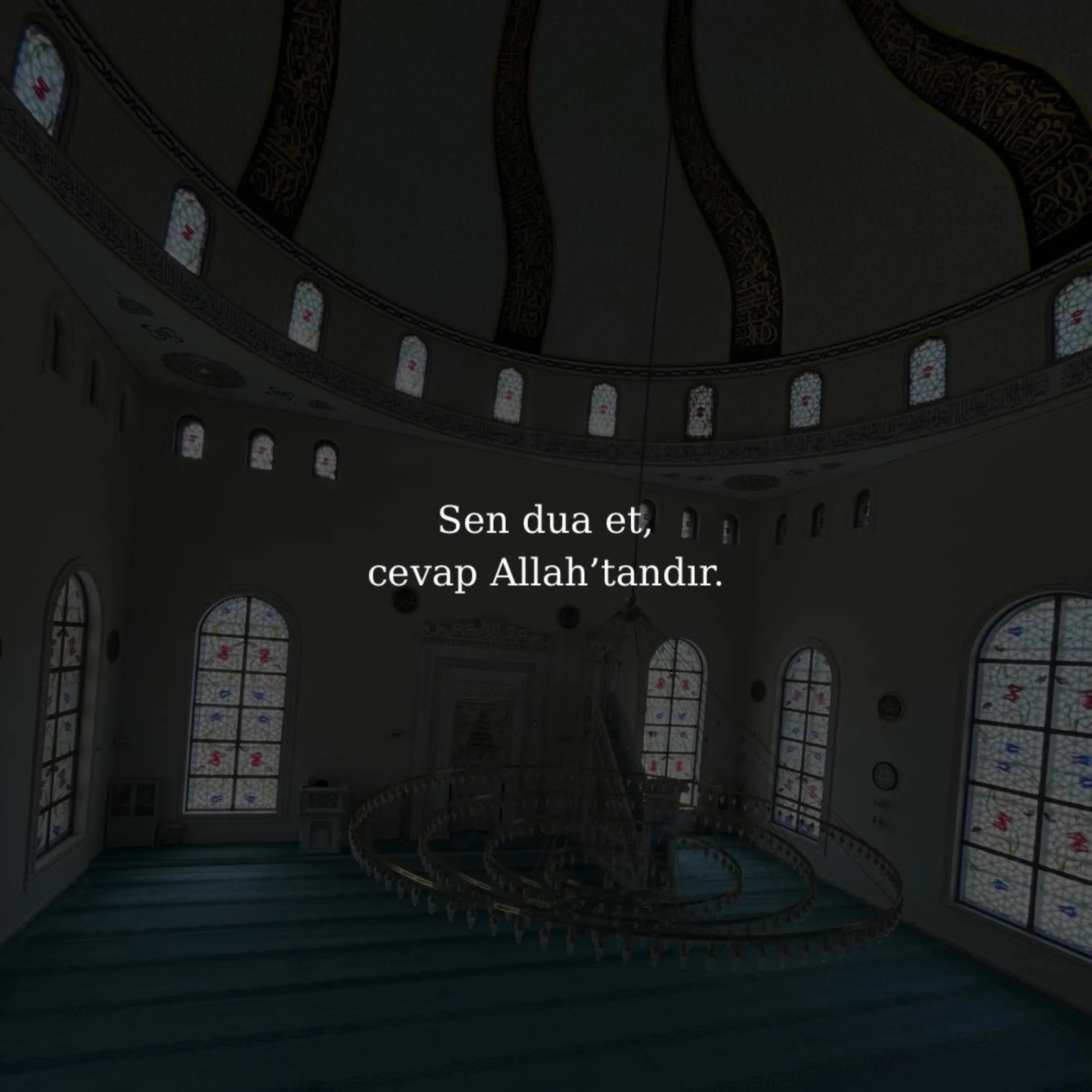 @🤍