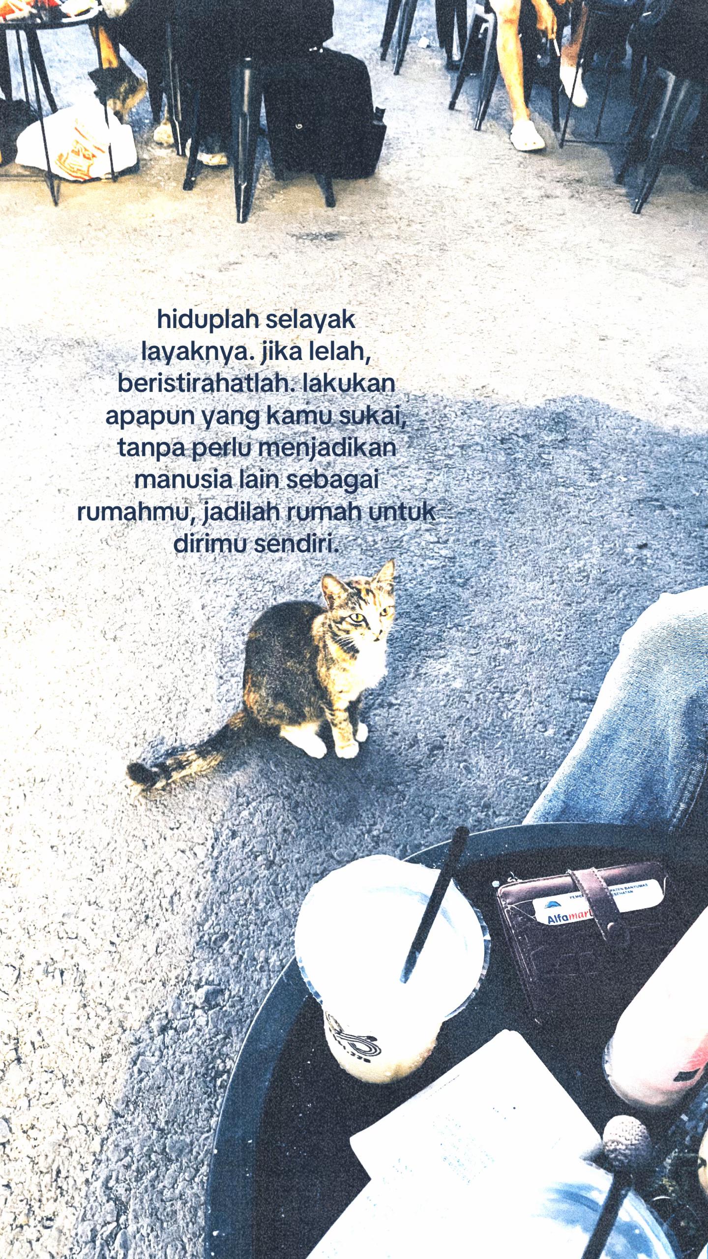 @tamaa