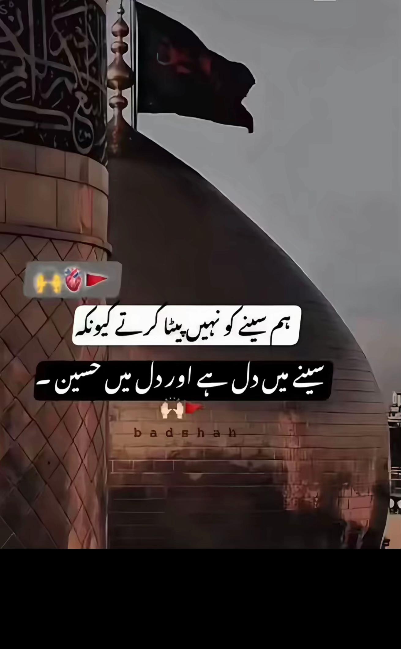 @Sanwal Sahi✅