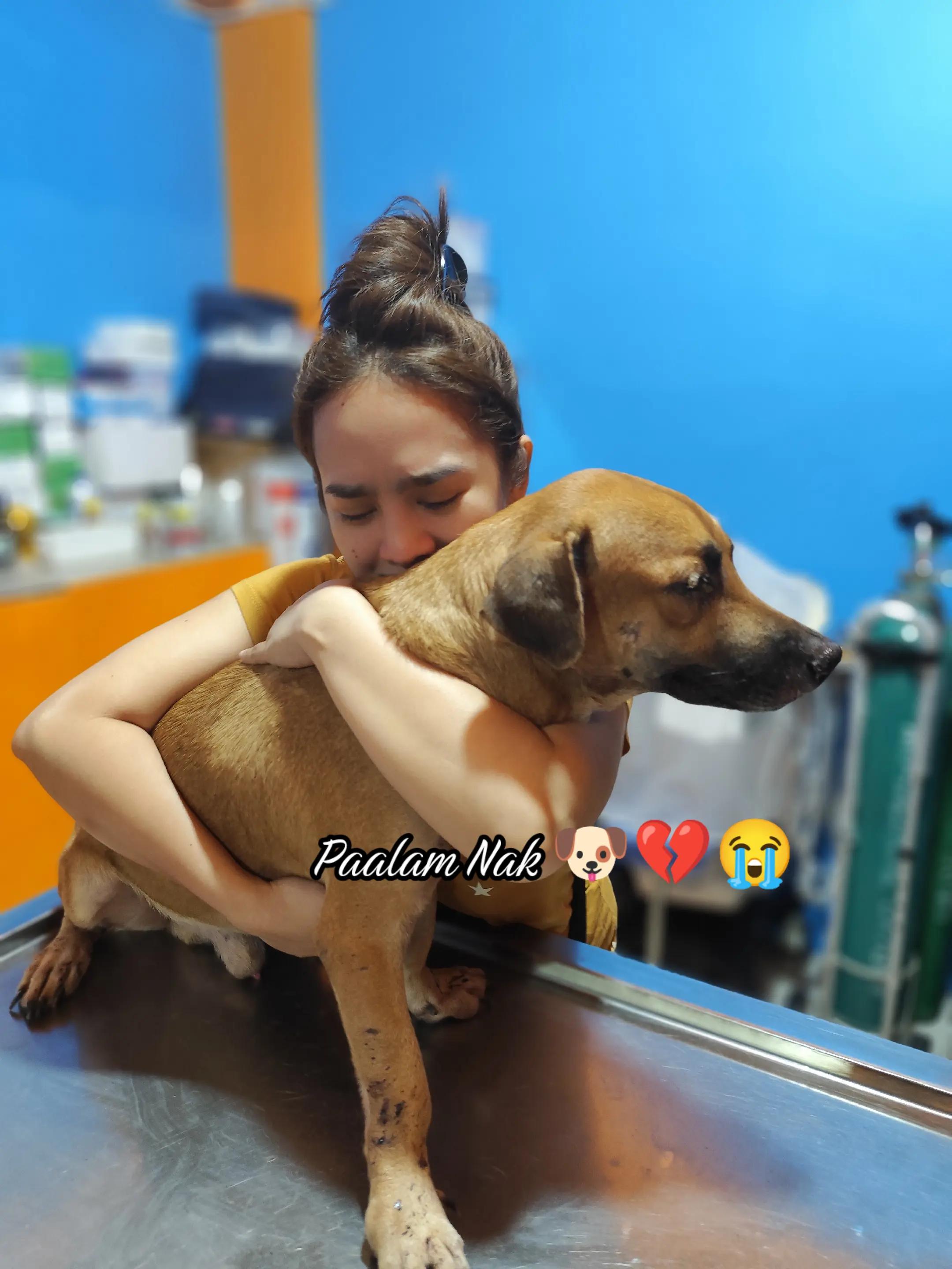 @๐๐จ๐ฌ๐๐ก๐๐ฅ๐ฅ ๐.๐ต๐ญ๐ค