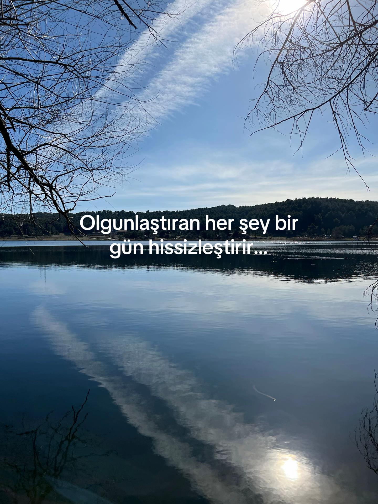 @ayse43