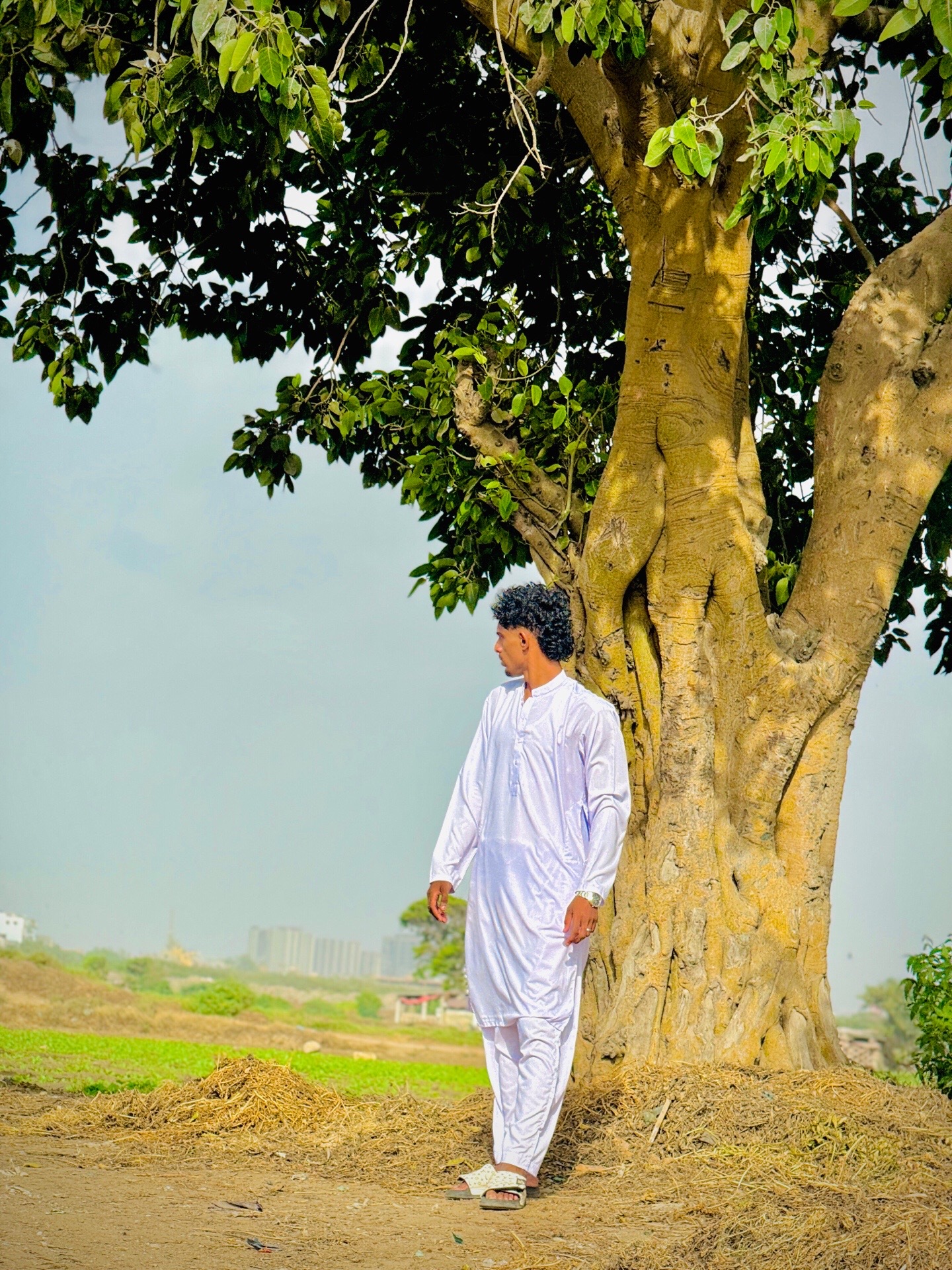 @Awais Ali 03