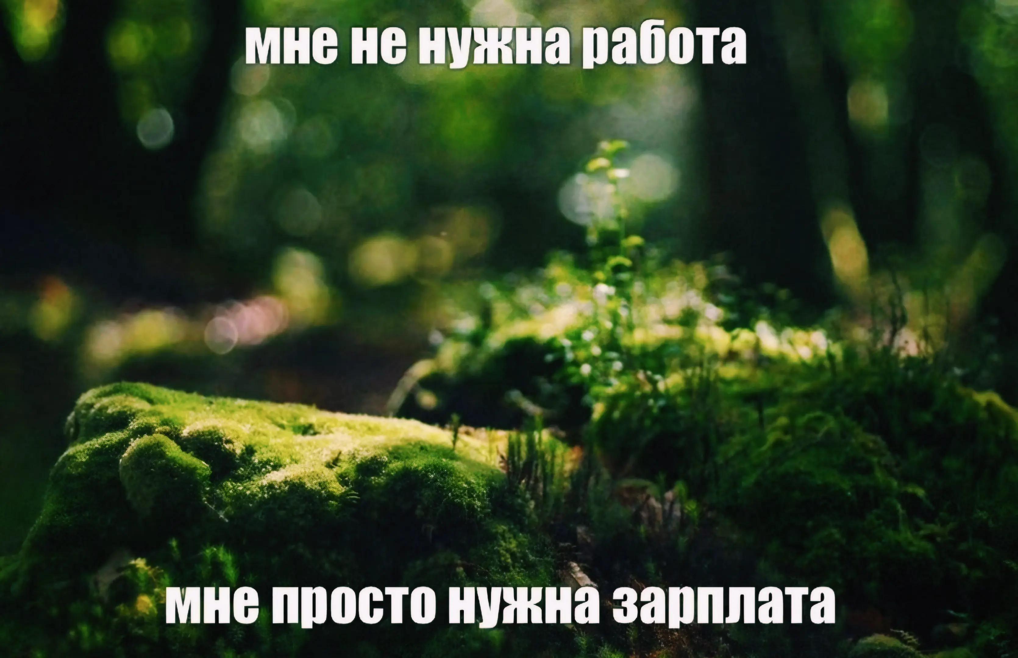 @๐๐๐๐๐
