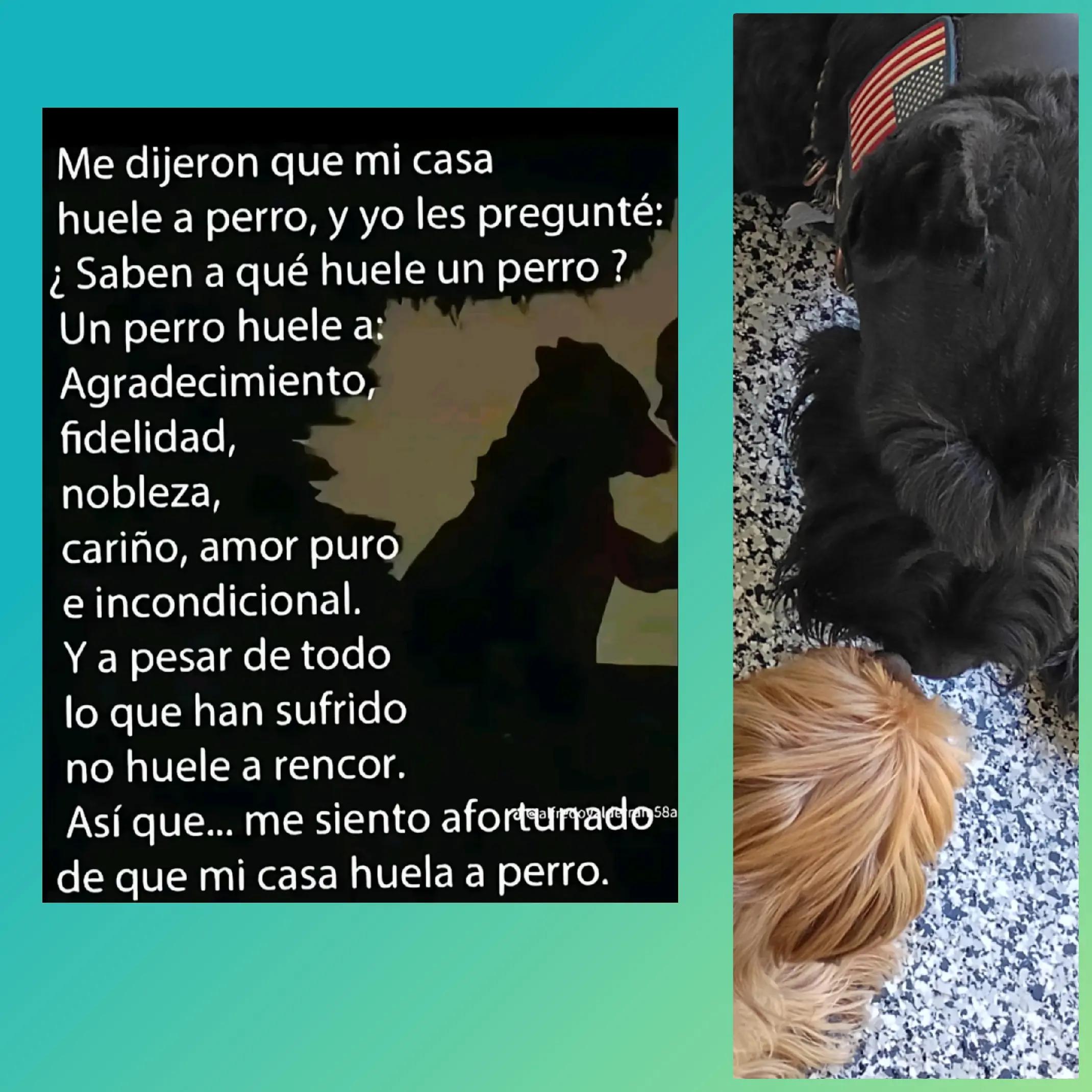 @Mulatisima66